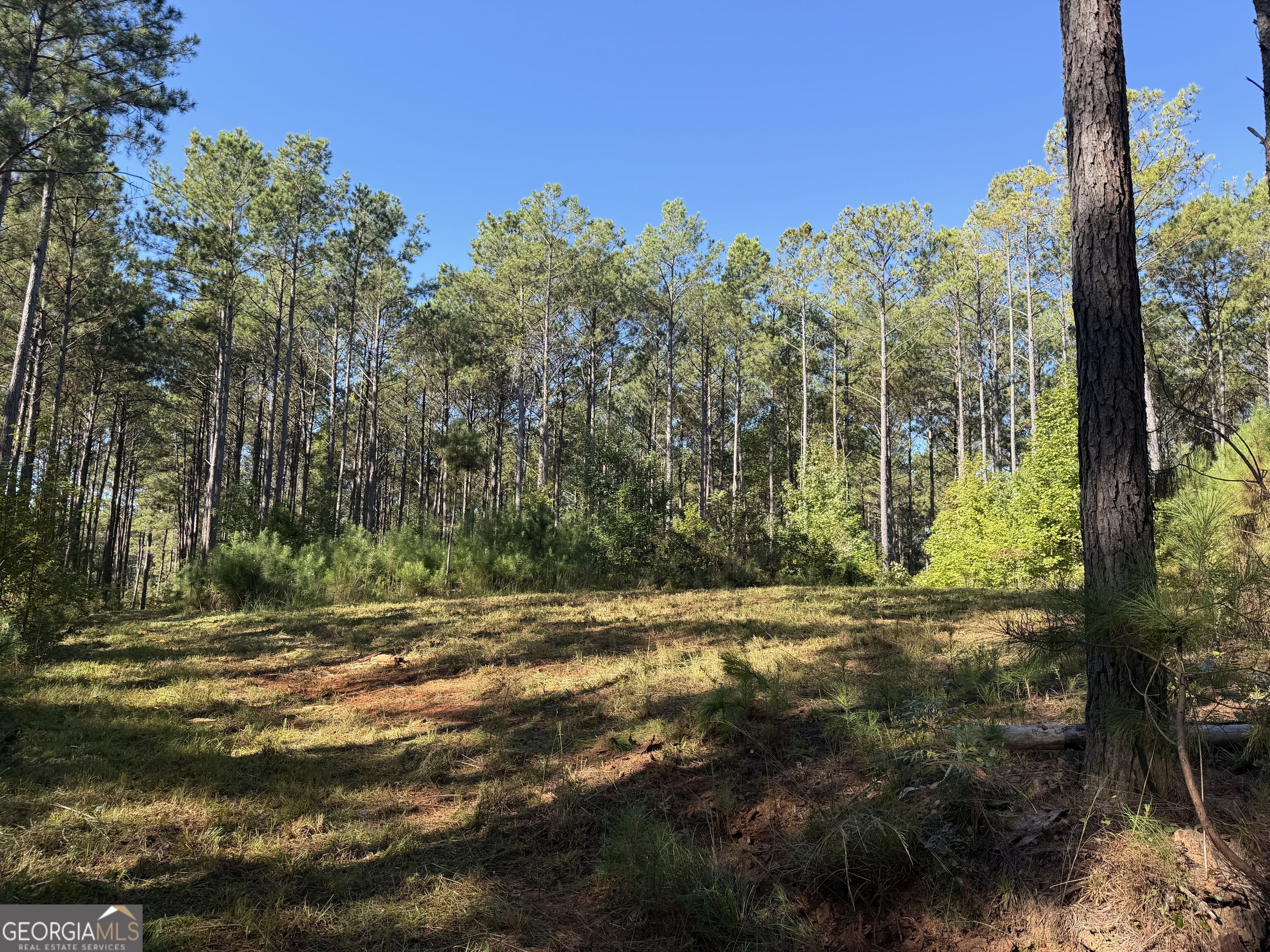 0 Old Tennessee Road # 2 Property Photo 13