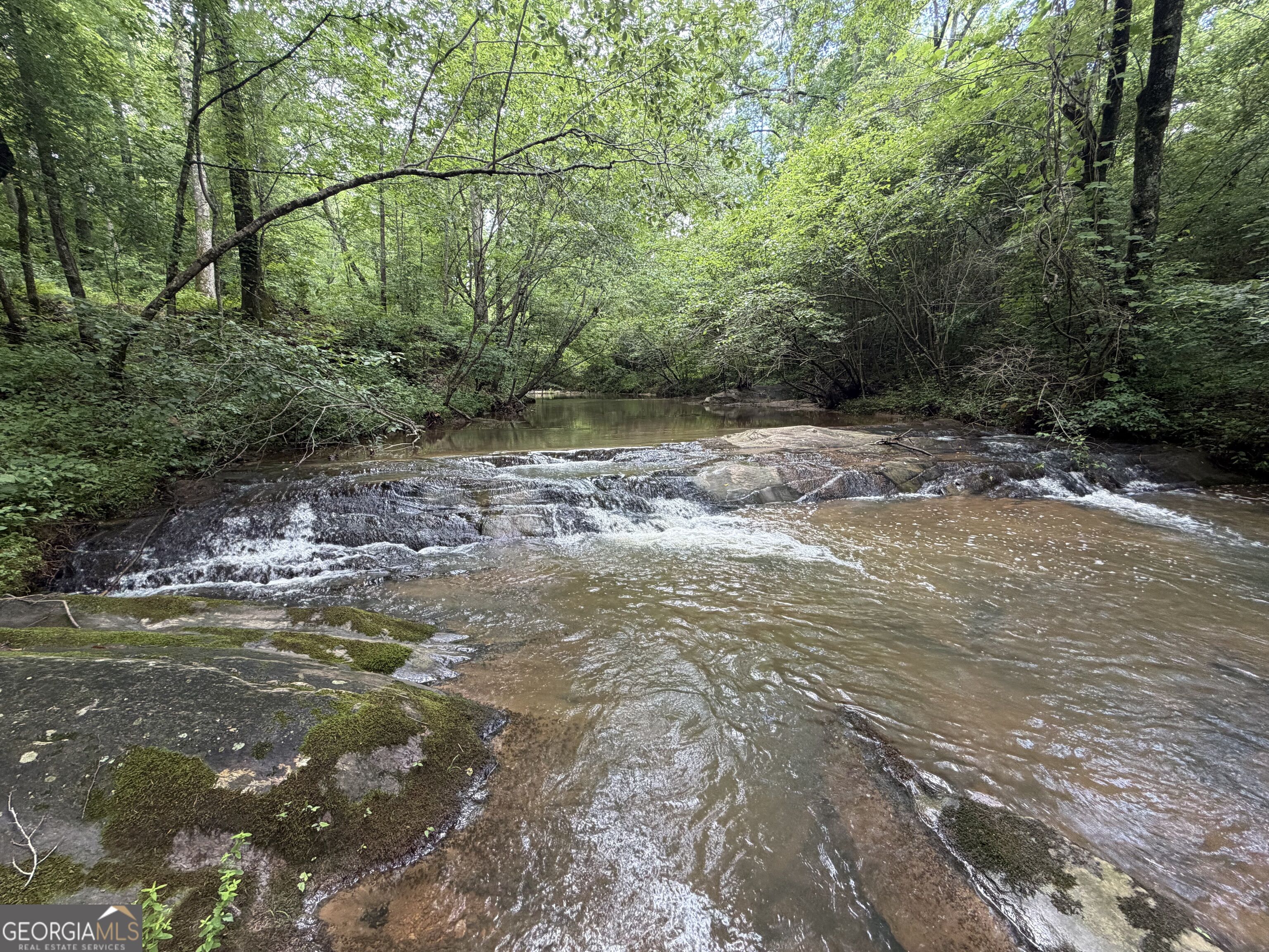 0 Old Tennessee Road # 3 Property Photo 1