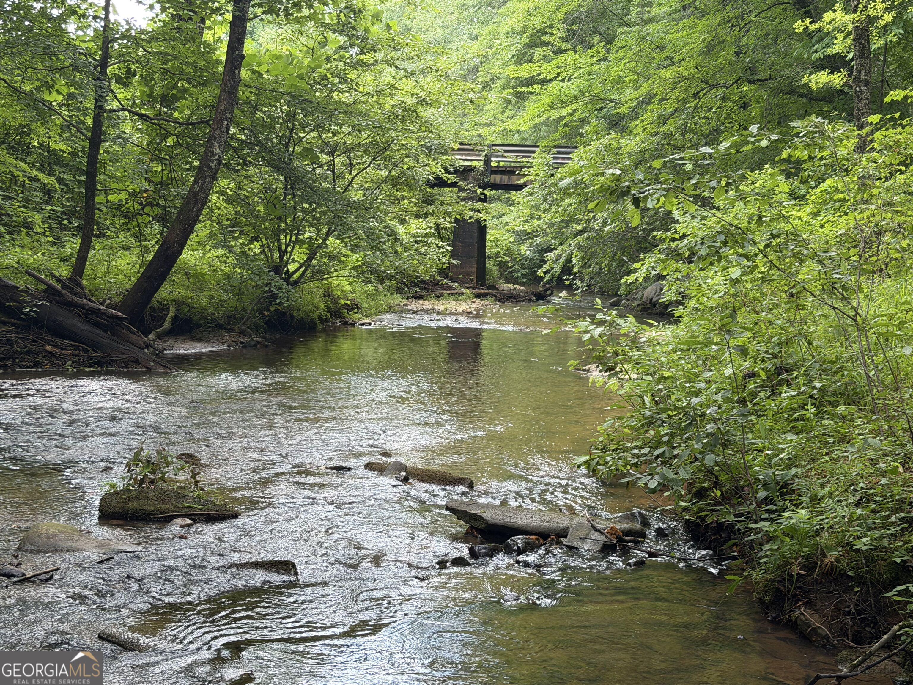 0 Old Tennessee Road # 3 Property Photo 3