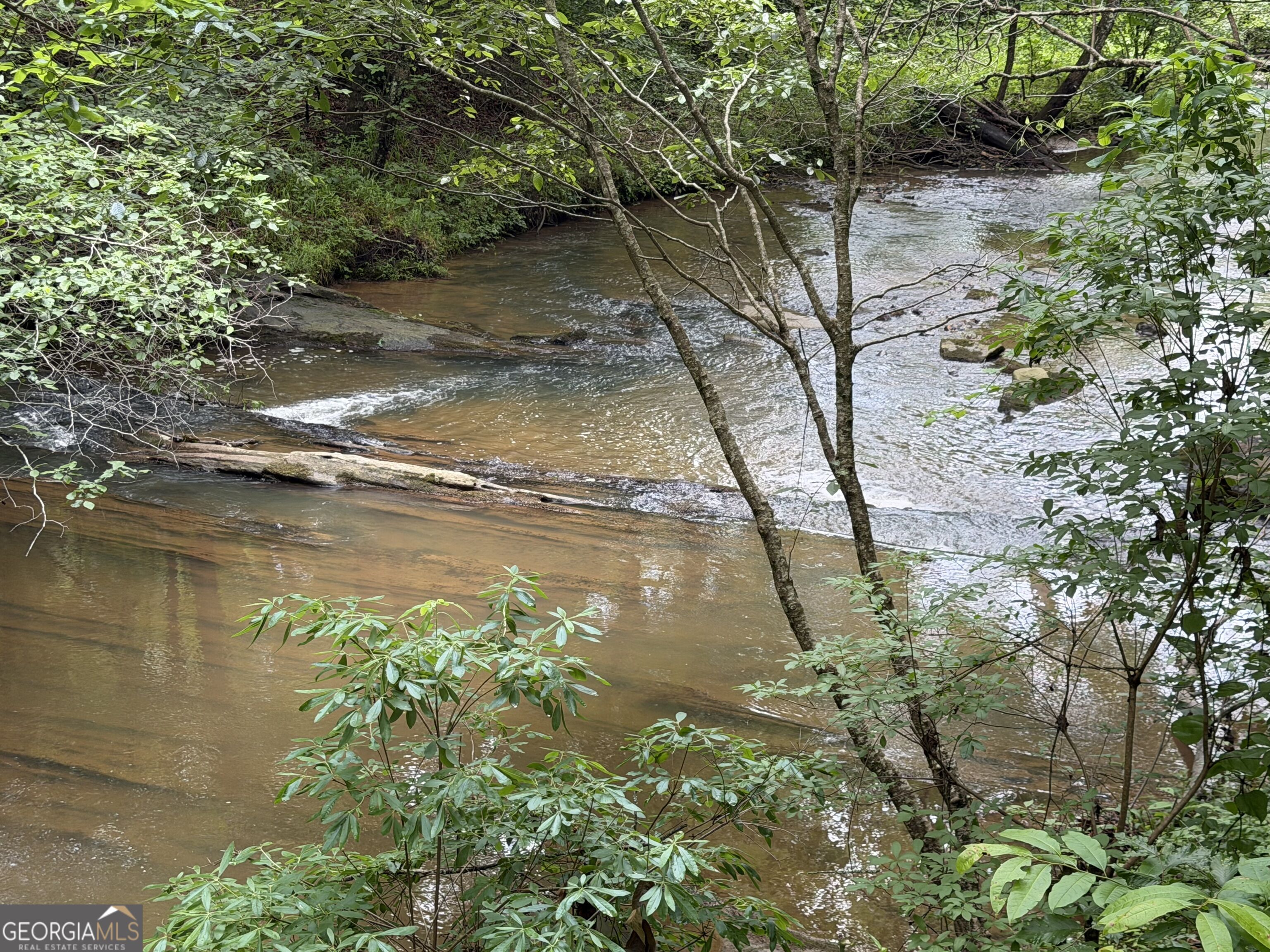 0 Old Tennessee Road # 3 Property Photo 5