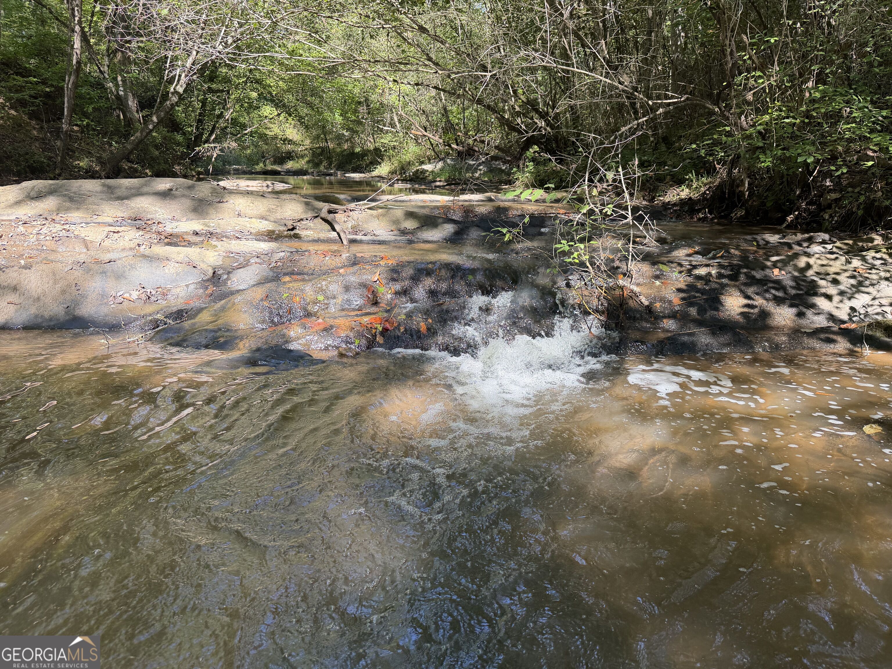 0 Old Tennessee Road # 3 Property Photo 6