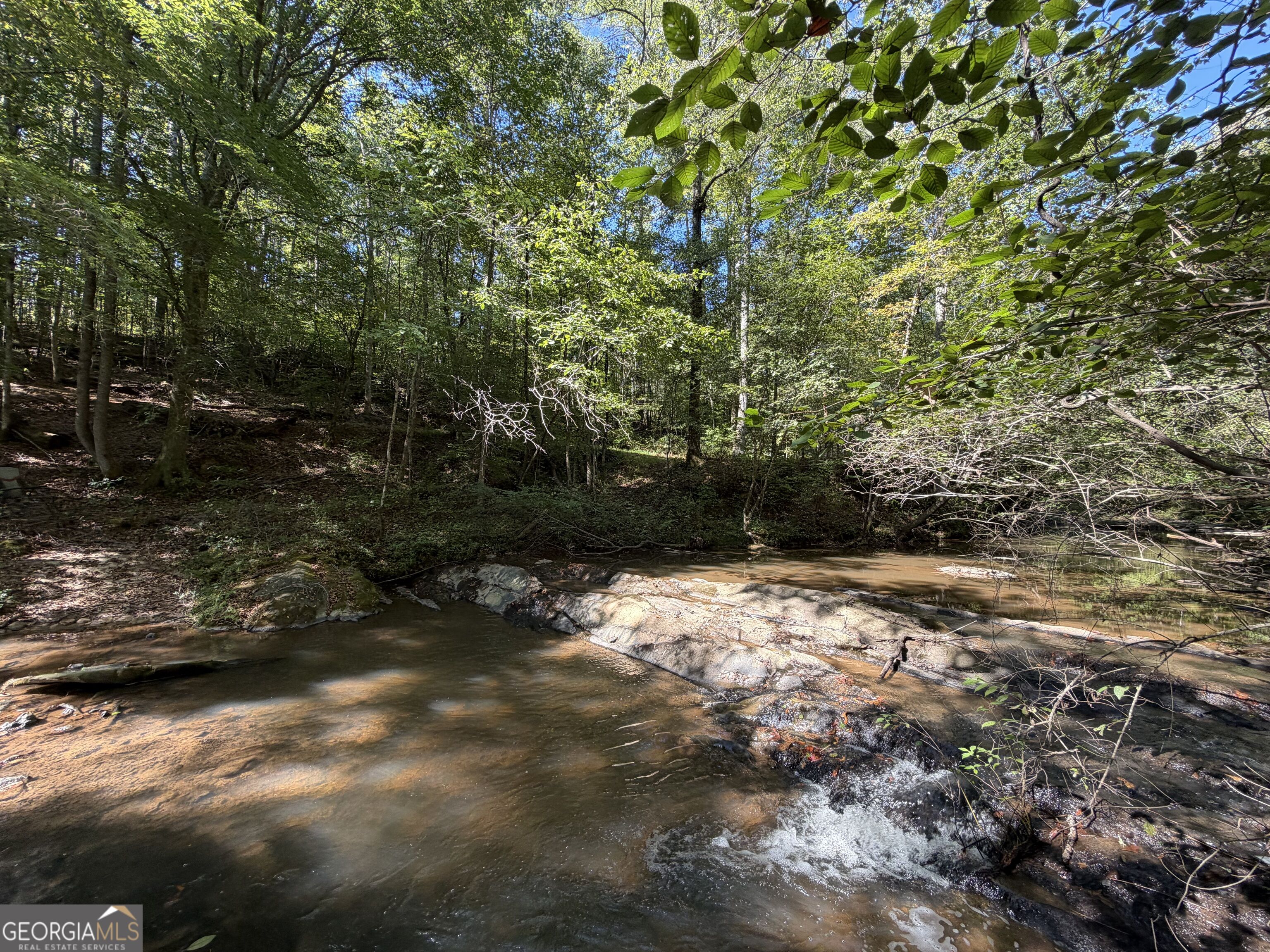 0 Old Tennessee Road # 3 Property Photo 10
