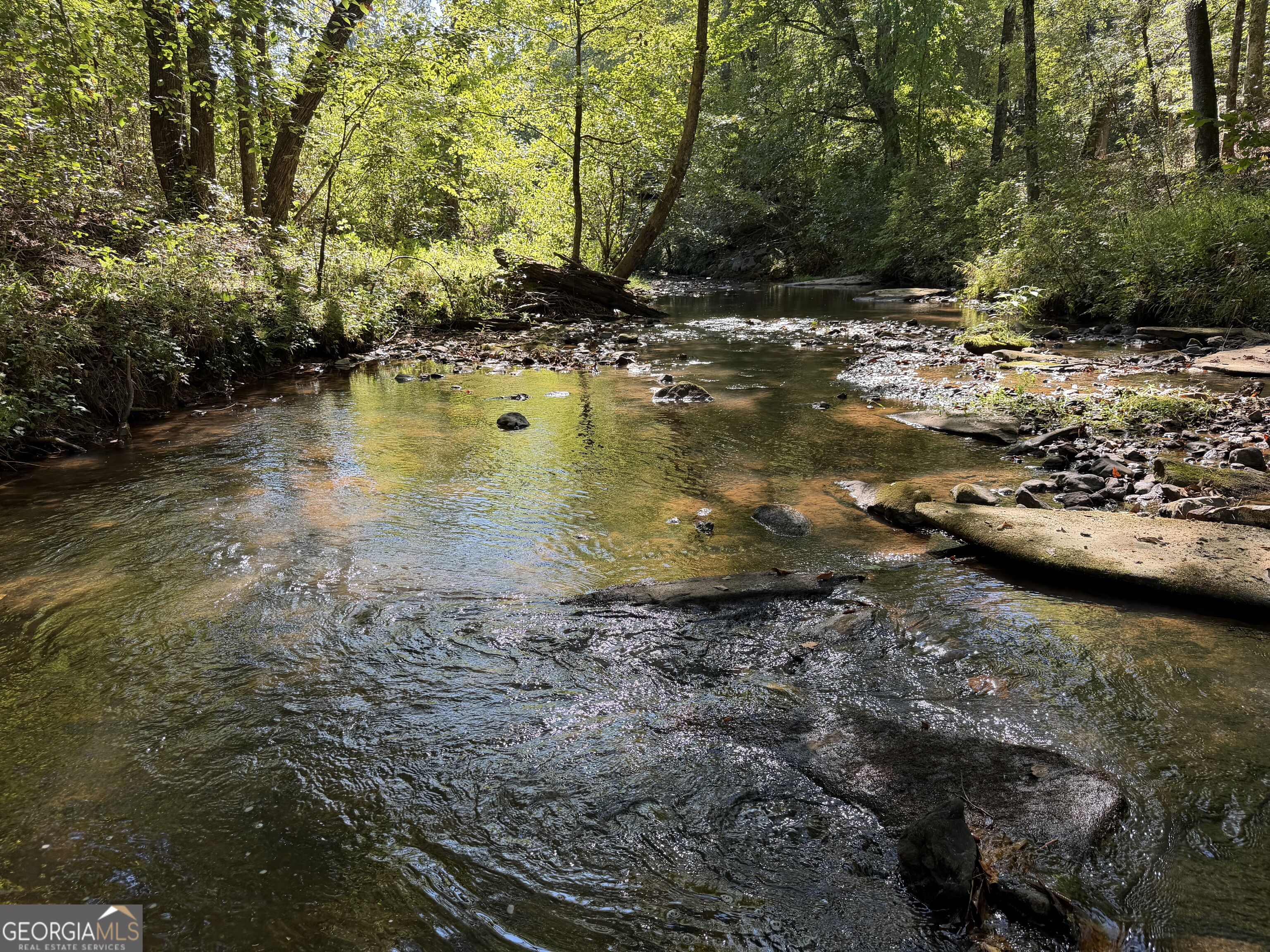 0 Old Tennessee Road # 3 Property Photo 11