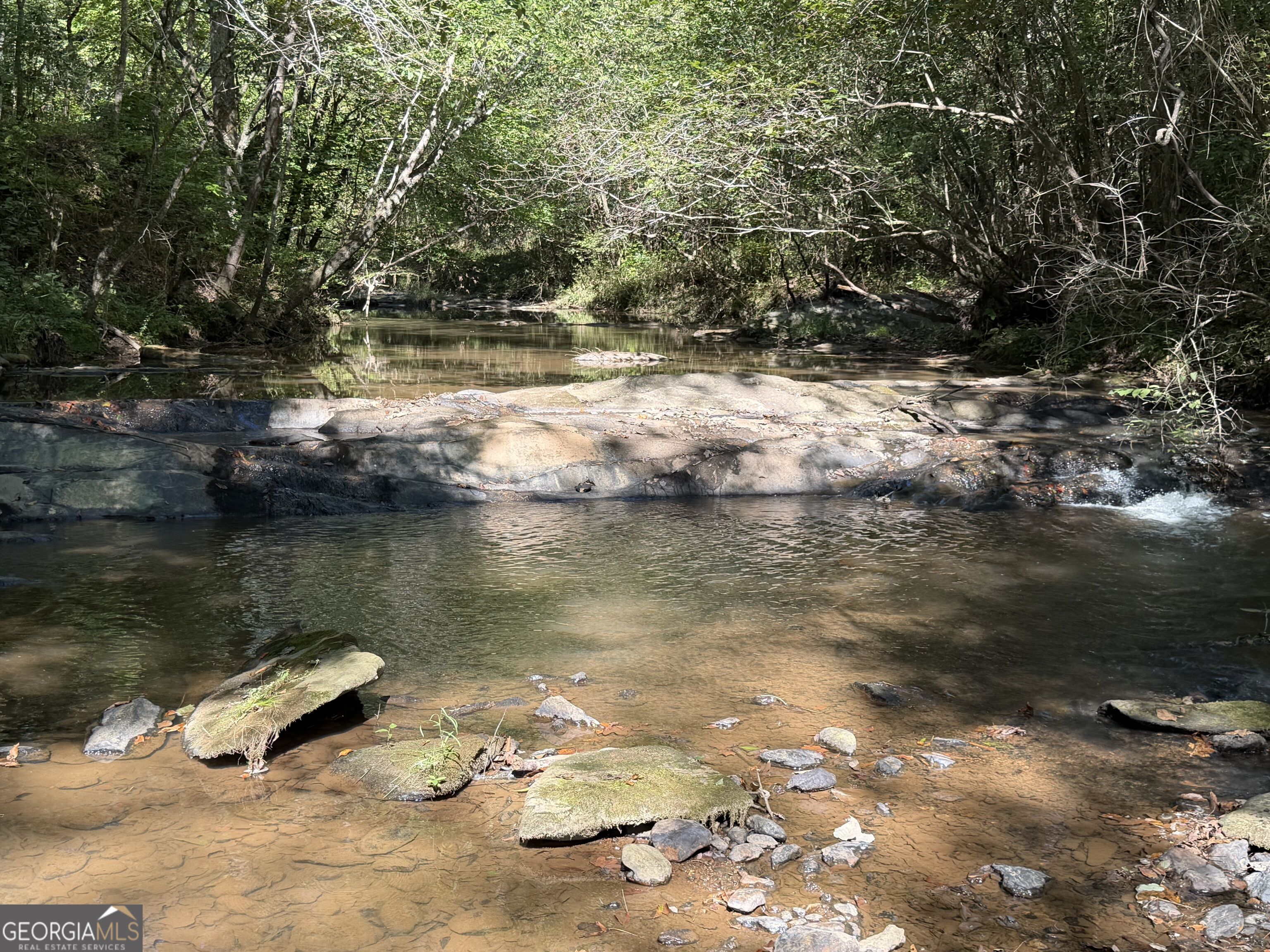 0 Old Tennessee Road # 3 Property Photo 13