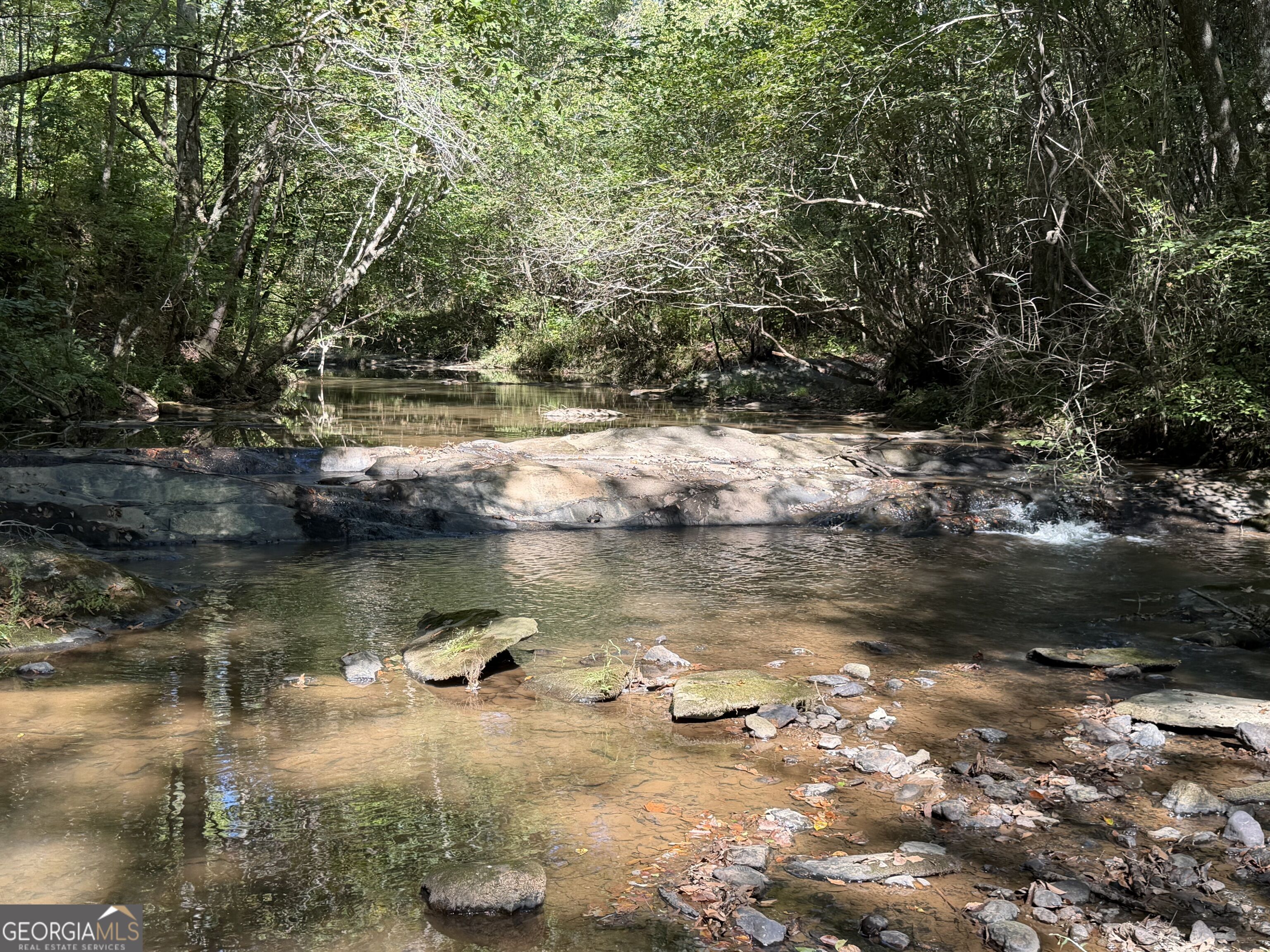 0 Old Tennessee Road # 3 Property Photo 16