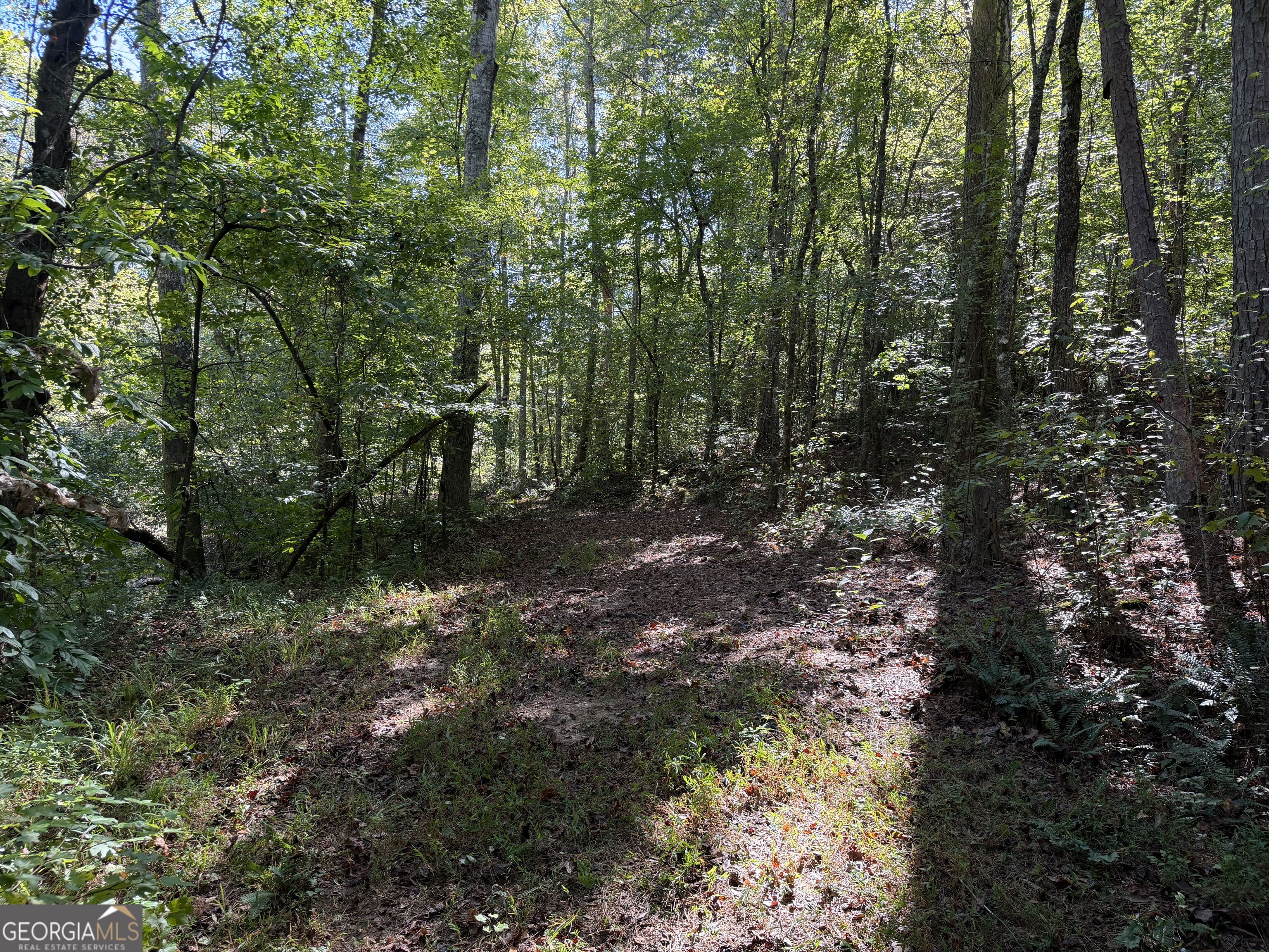 0 Old Tennessee Road # 3 Property Photo 18
