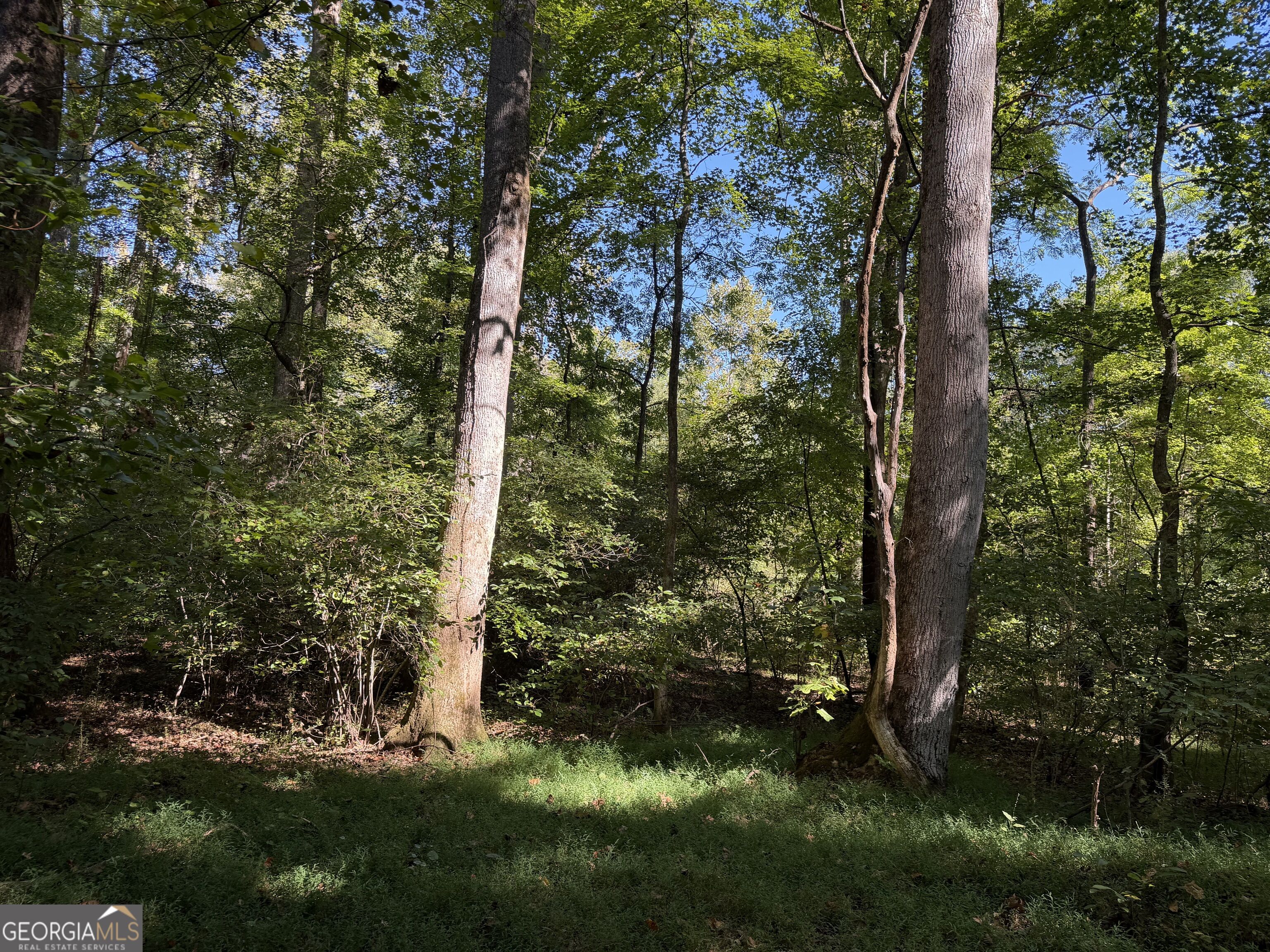 0 Old Tennessee Road # 3 Property Photo 19