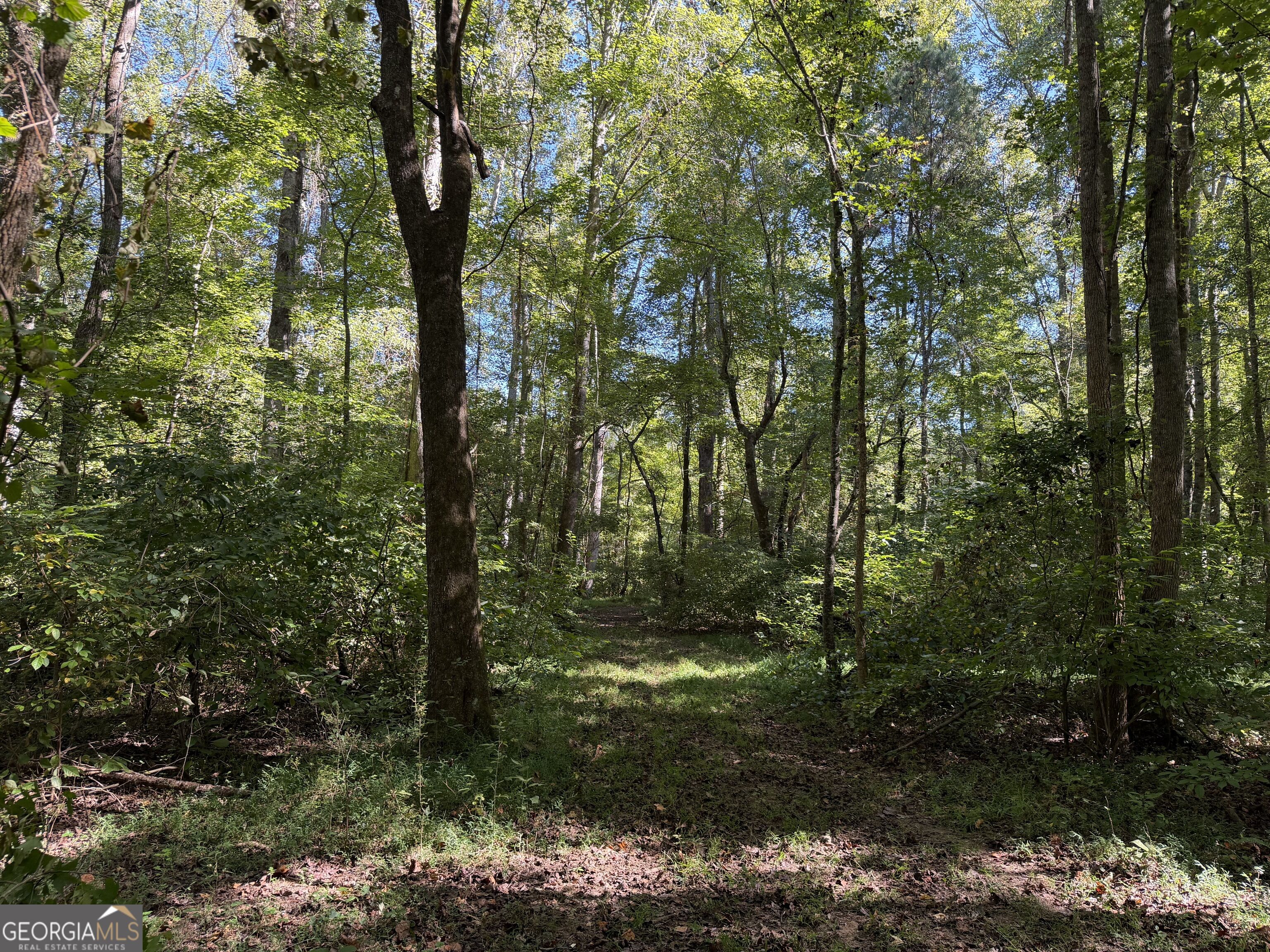 0 Old Tennessee Road # 3 Property Photo 20