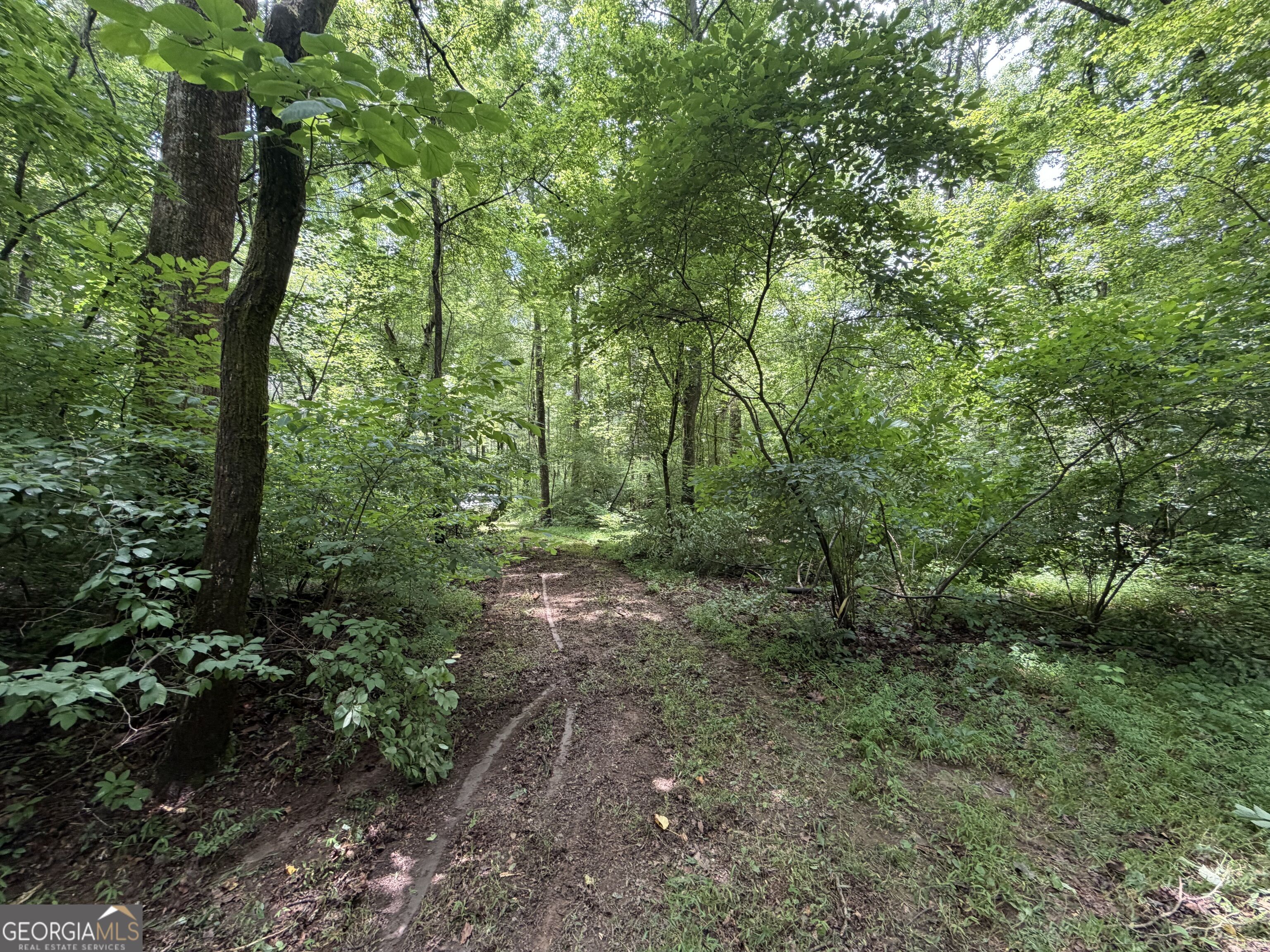 0 Old Tennessee Road # 3 Property Photo 21