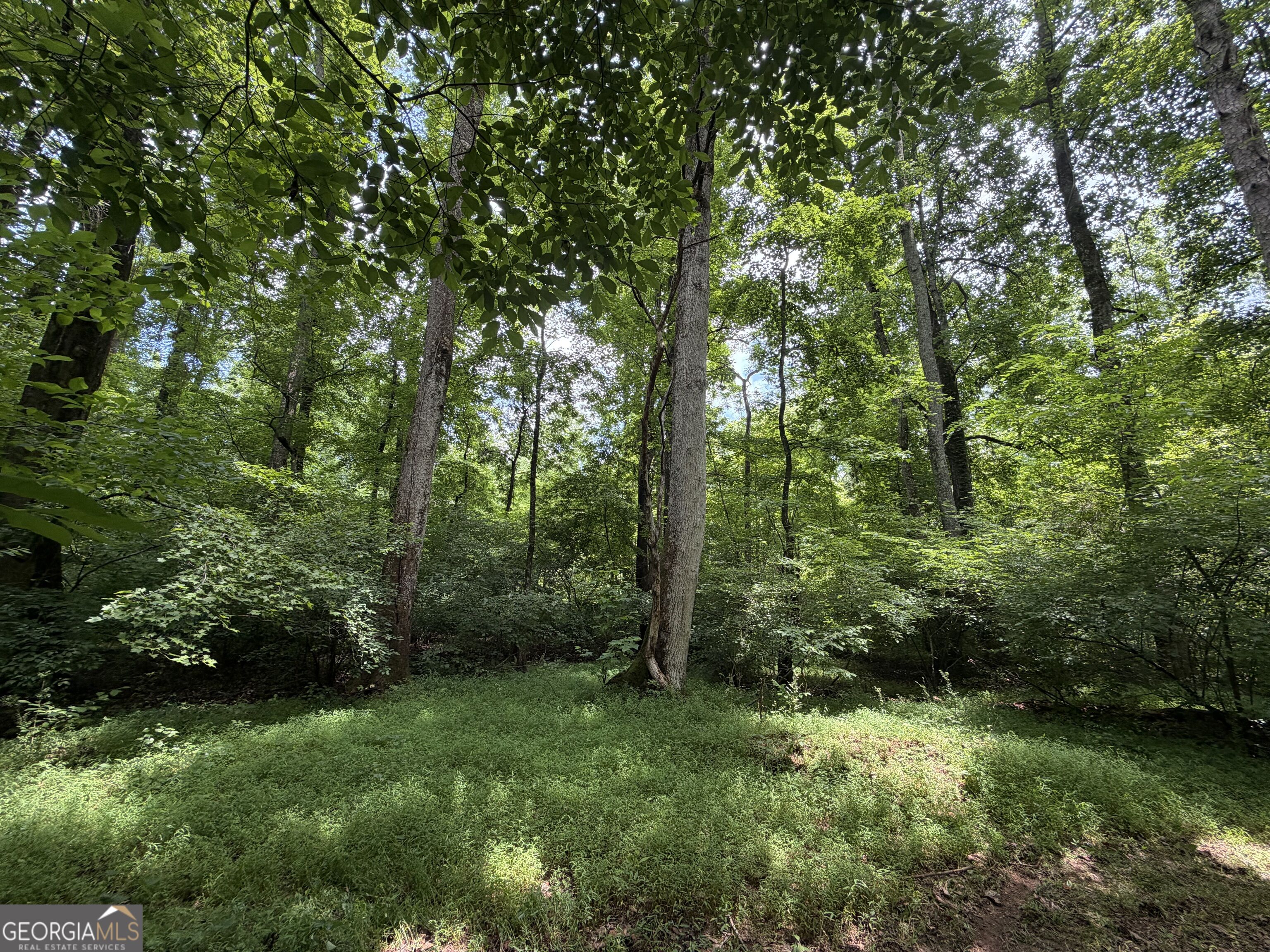 0 Old Tennessee Road # 3 Property Photo 22