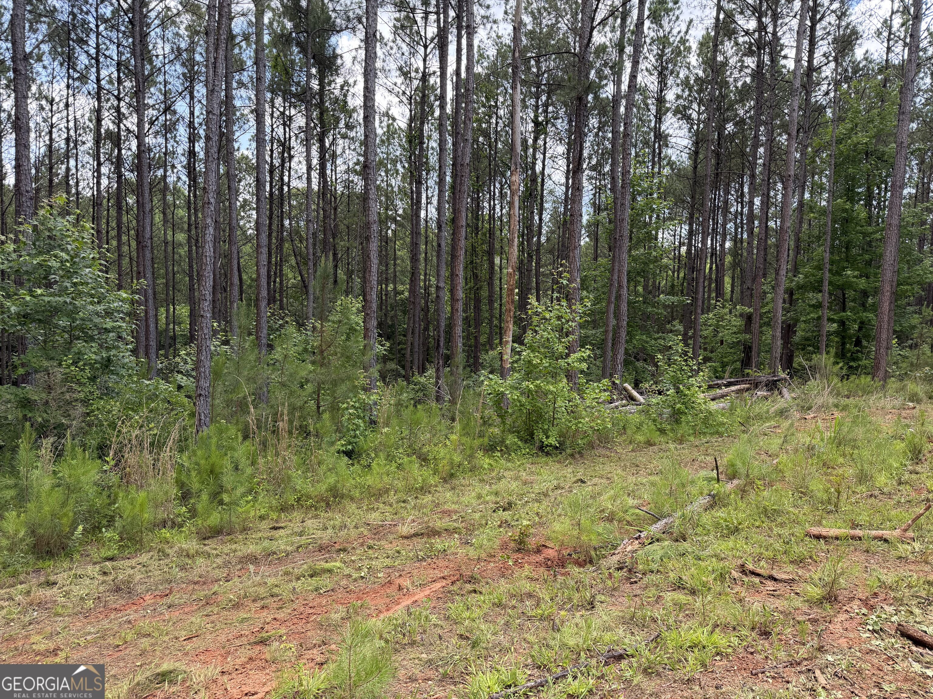 0 Old Tennessee Road # 3 Property Photo 23