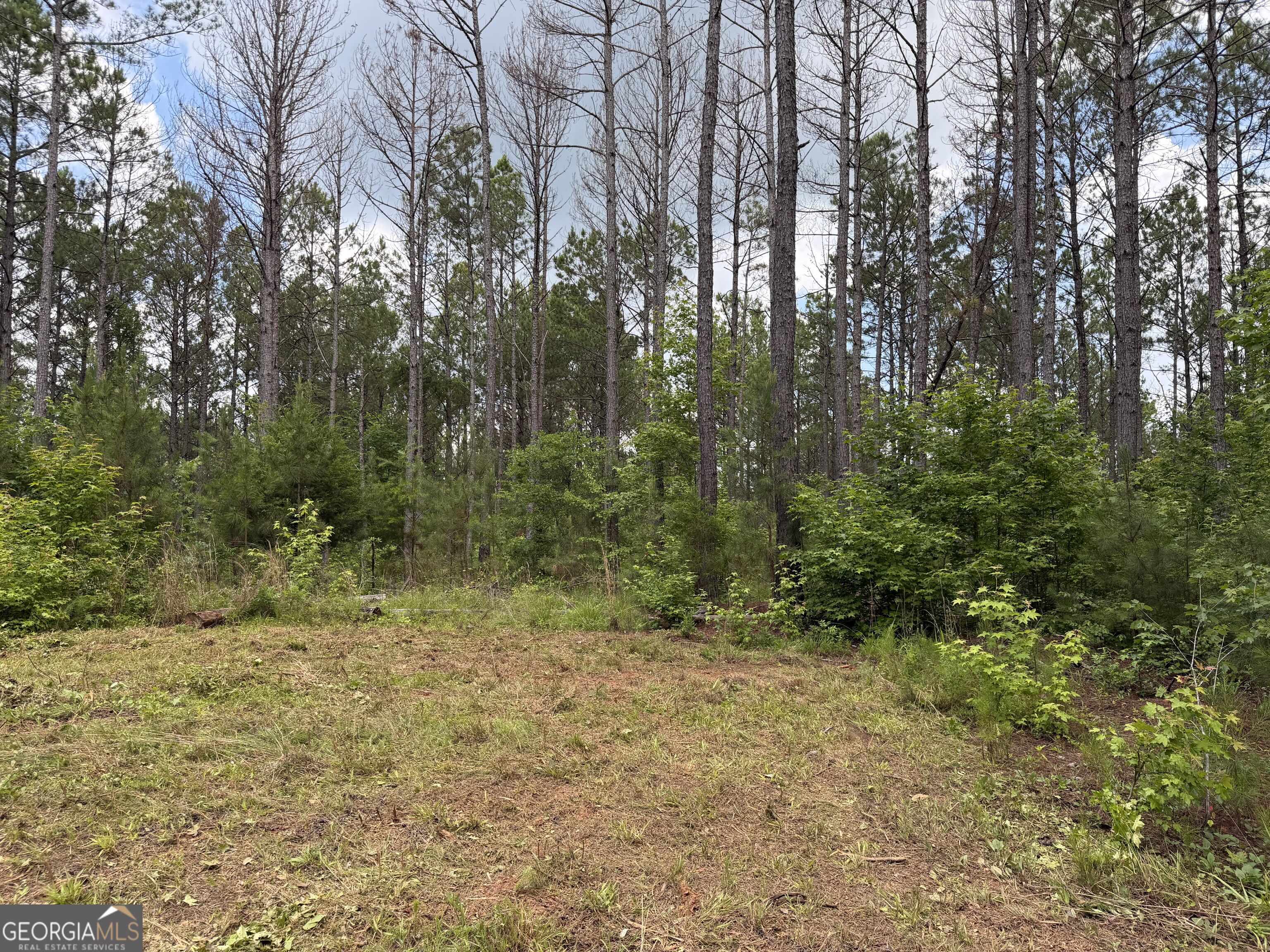 0 Old Tennessee Road # 3 Property Photo 24
