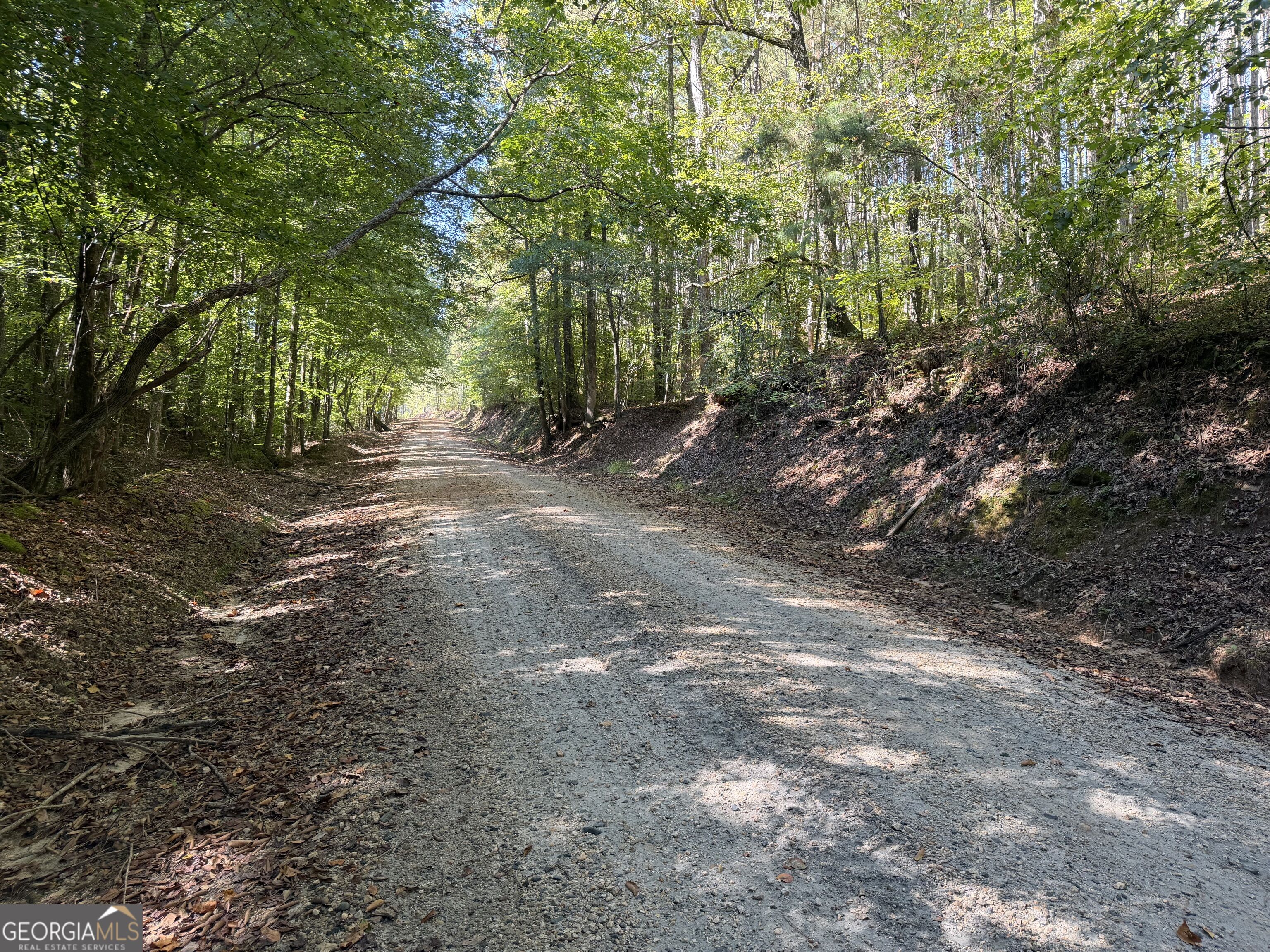 0 Old Tennessee Road # 3 Property Photo 25