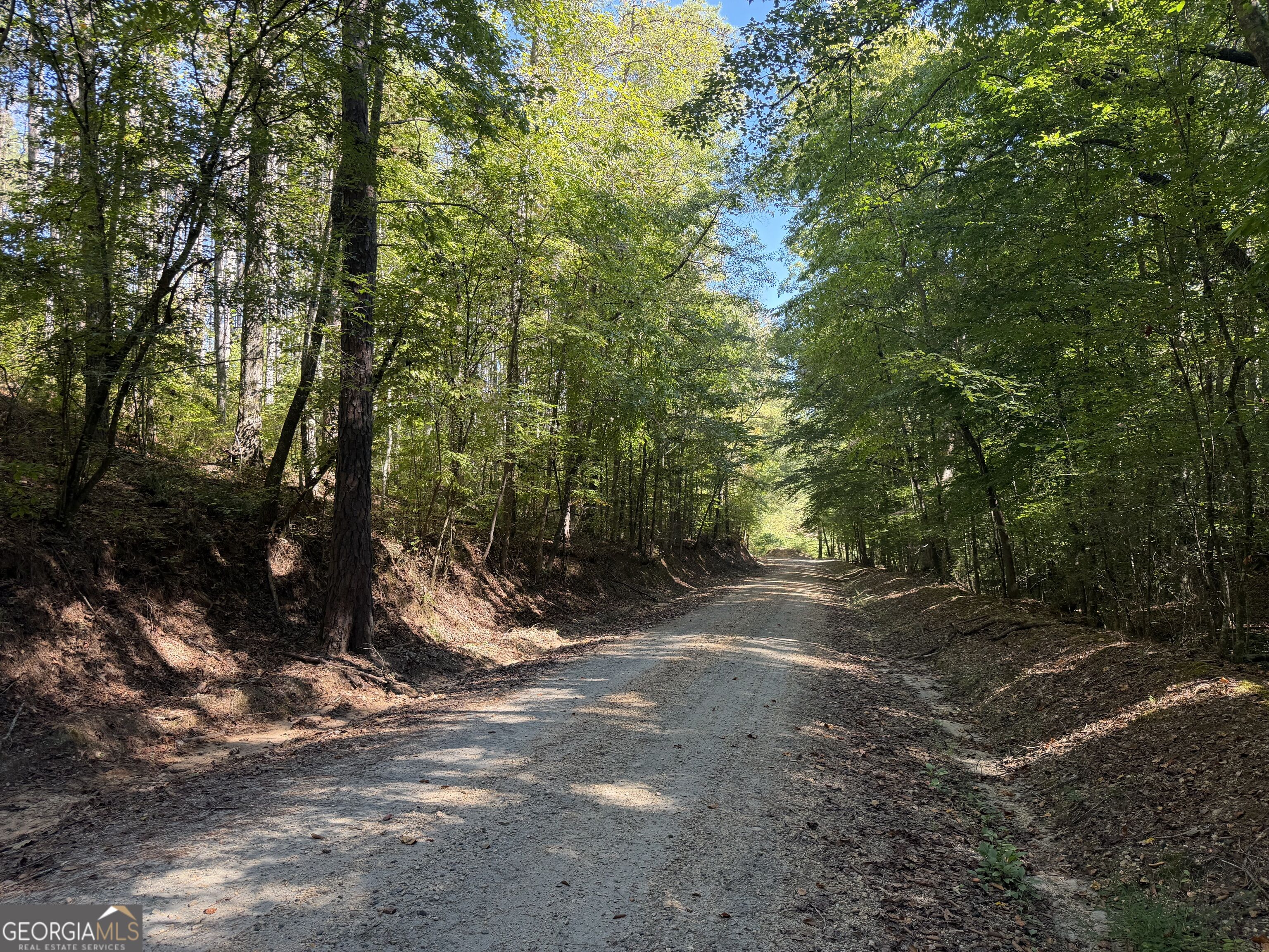 0 Old Tennessee Road # 3 Property Photo 26