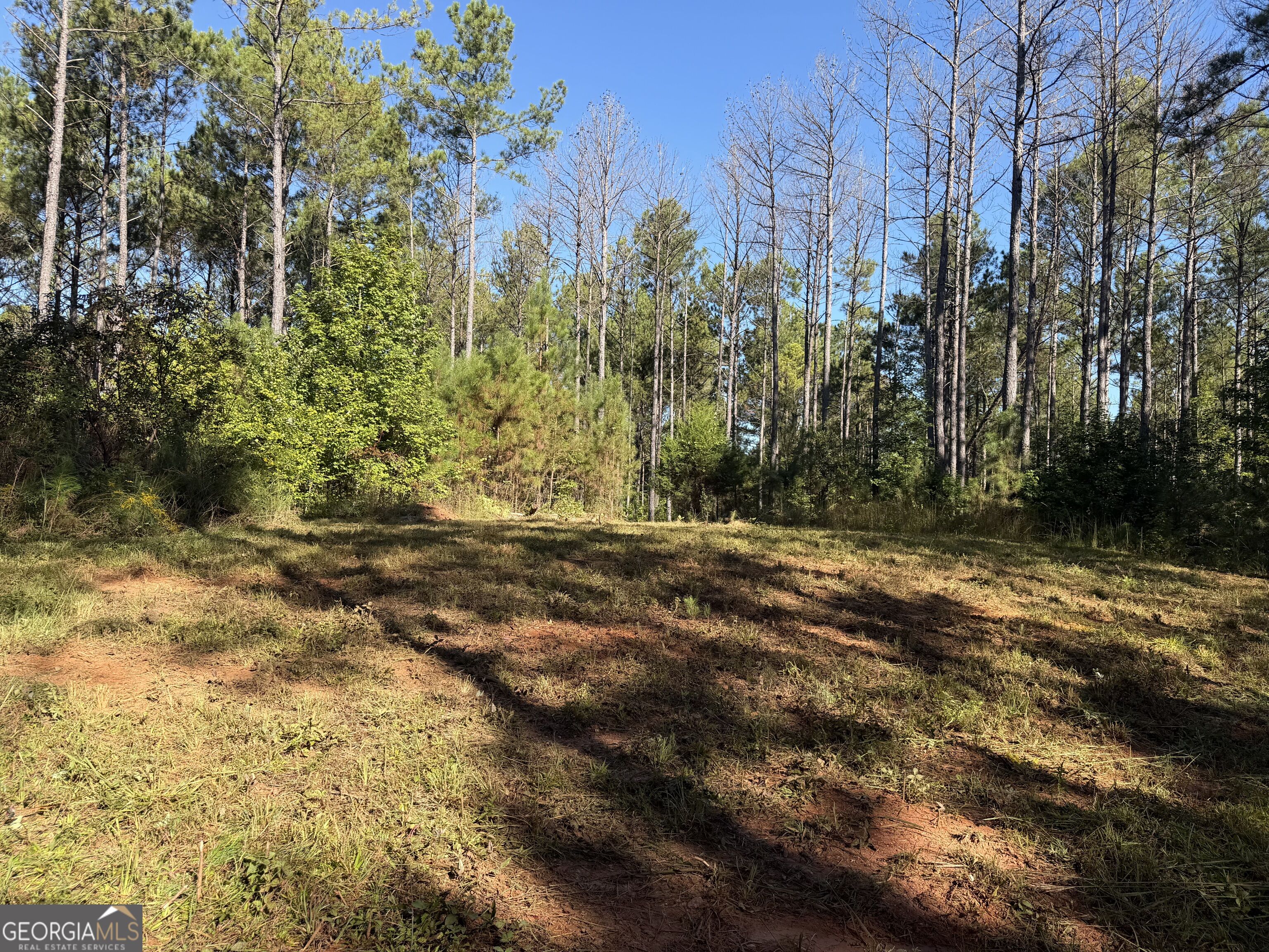 0 Old Tennessee Road # 3 Property Photo 27