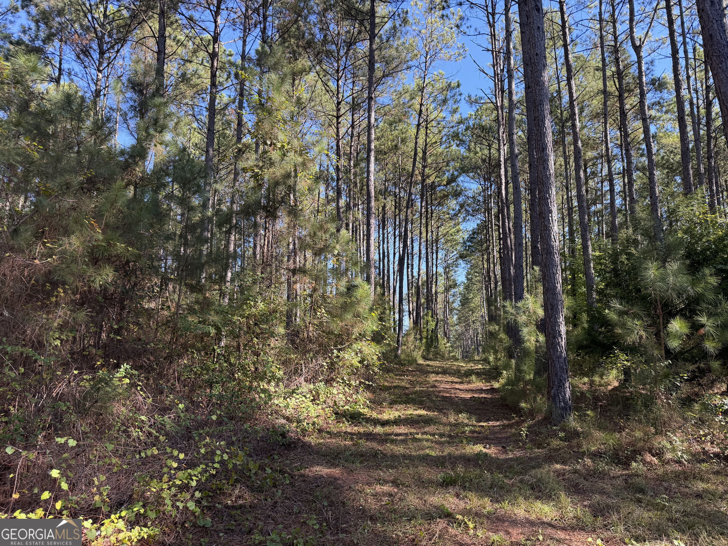 0 Old Tennessee Road # 3 Property Photo 28