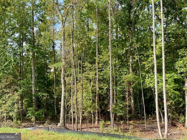 Lot 171 Snug Harbor Place Property Photo 6