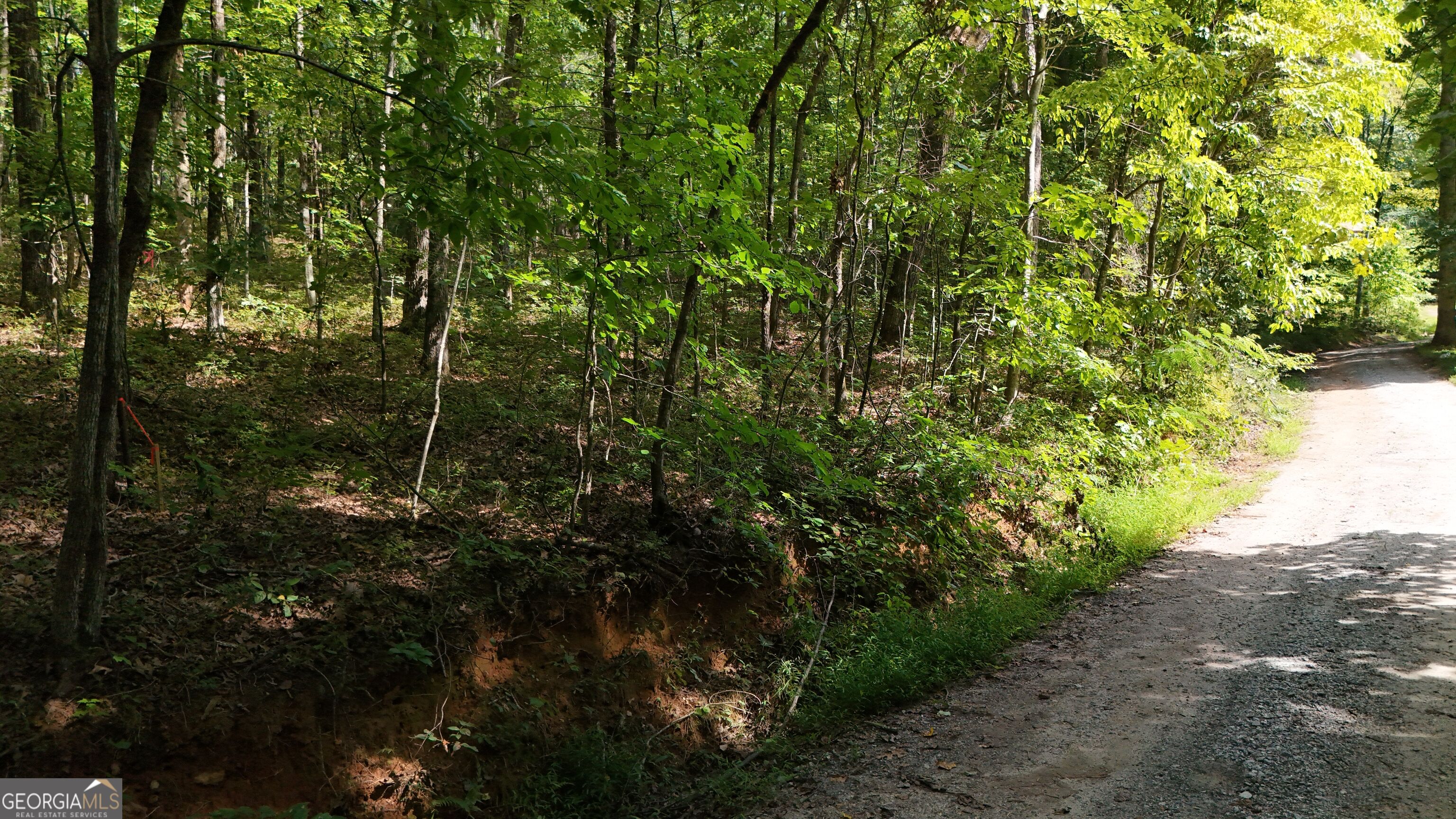 Lot 184 Hillside Drive Property Photo 2