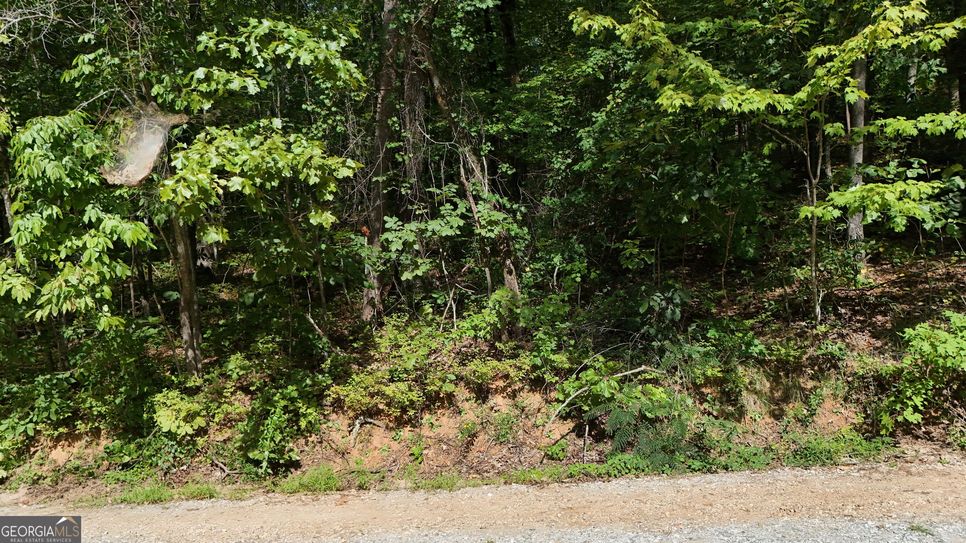 Lot 184 Hillside Drive Property Photo 3