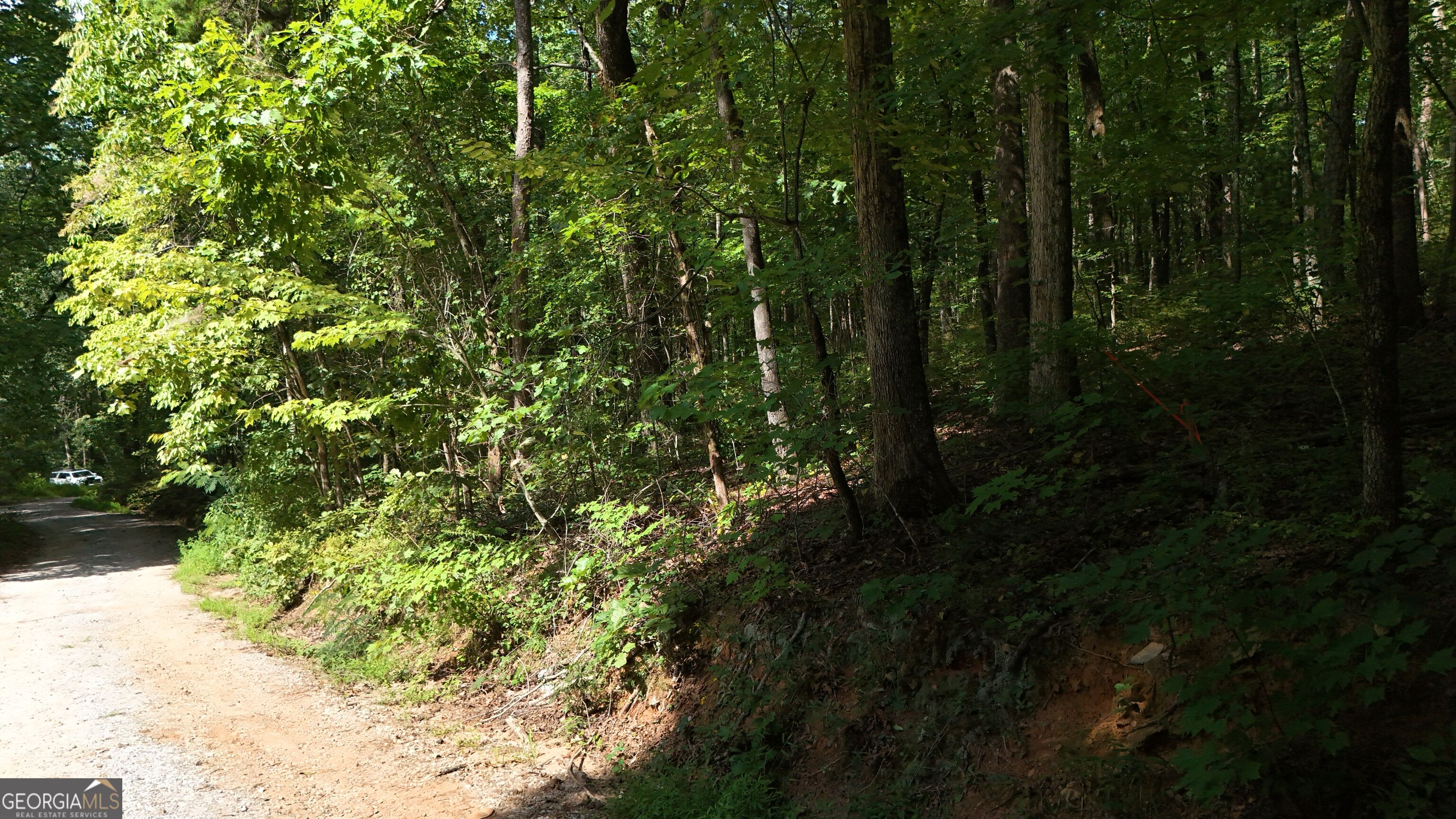 Lot 184 Hillside Drive Property Photo 4
