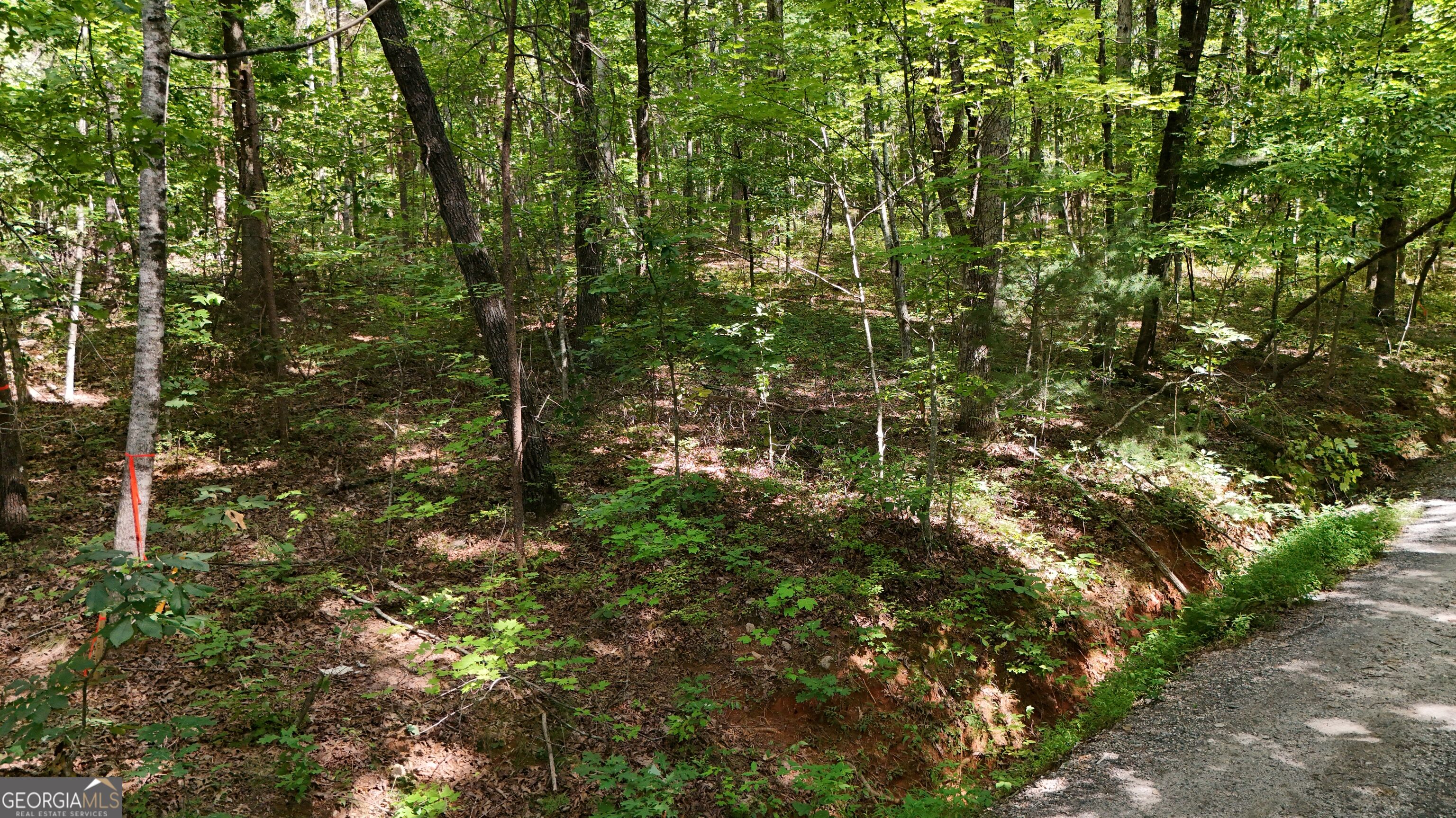 Lot 183 Hillside Drive Property Photo 2