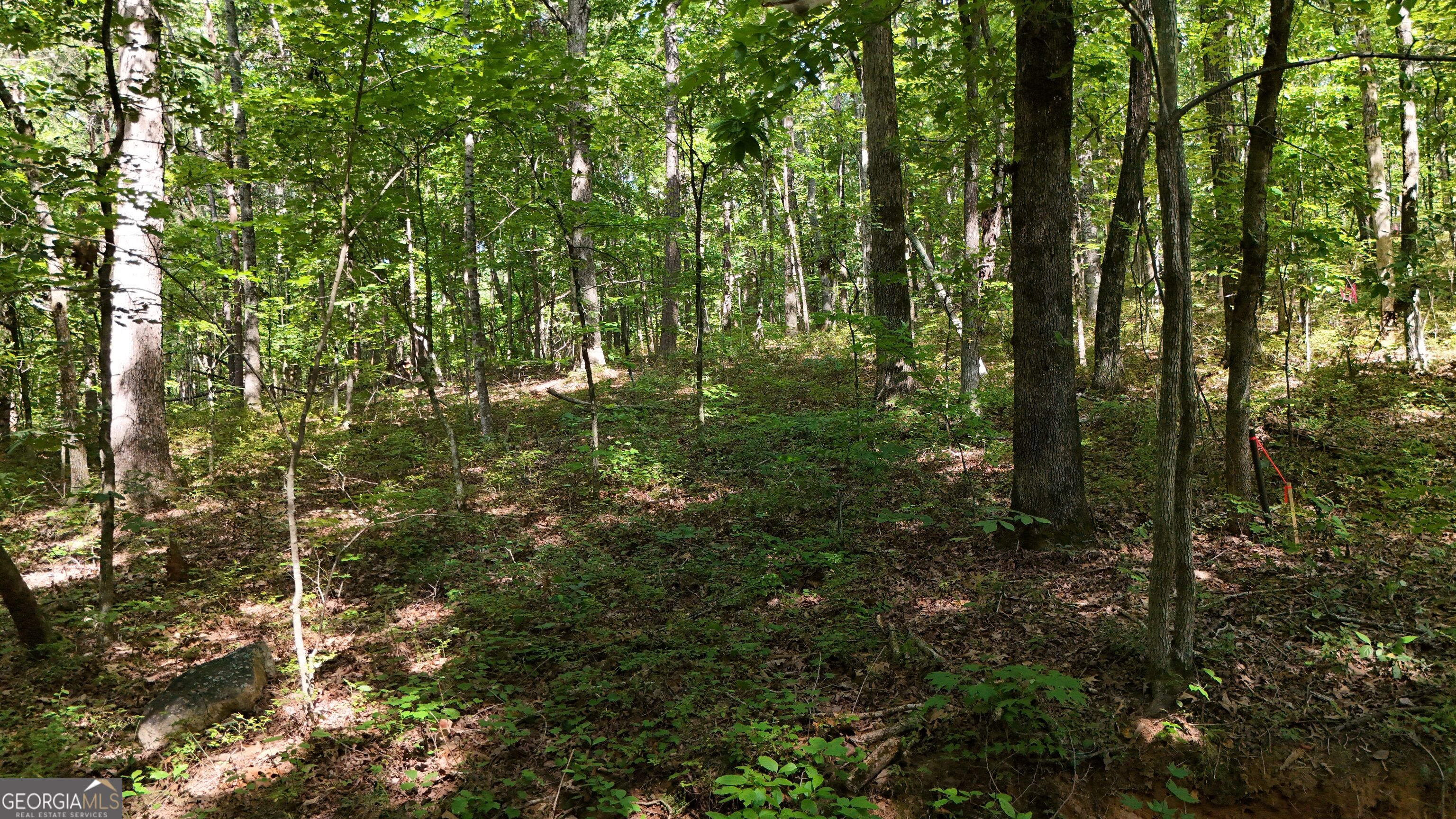 Lot 183 Hillside Drive Property Photo 3