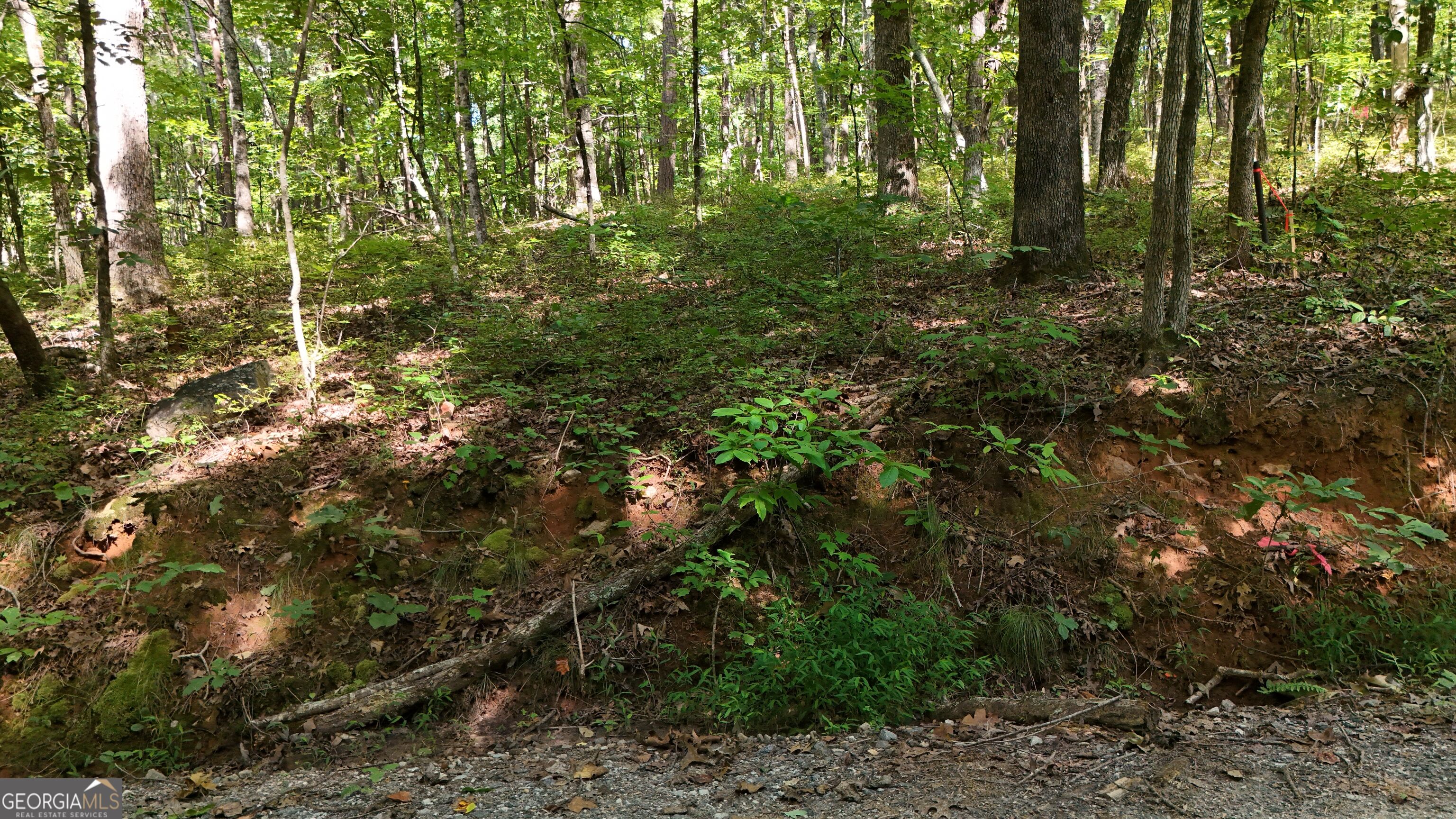 Lot 183 Hillside Drive Property Photo 4