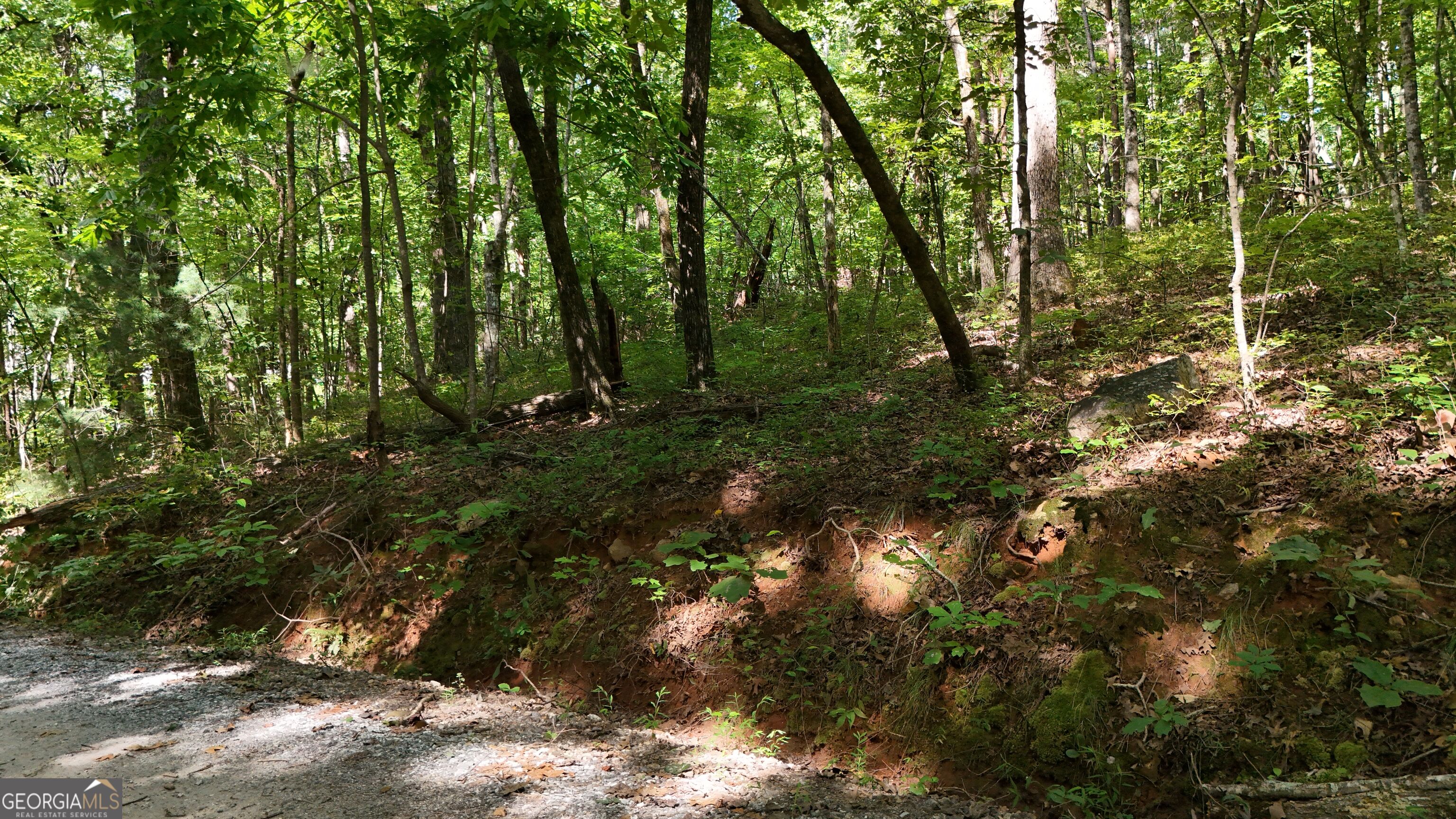 Lot 183 Hillside Drive Property Photo 5