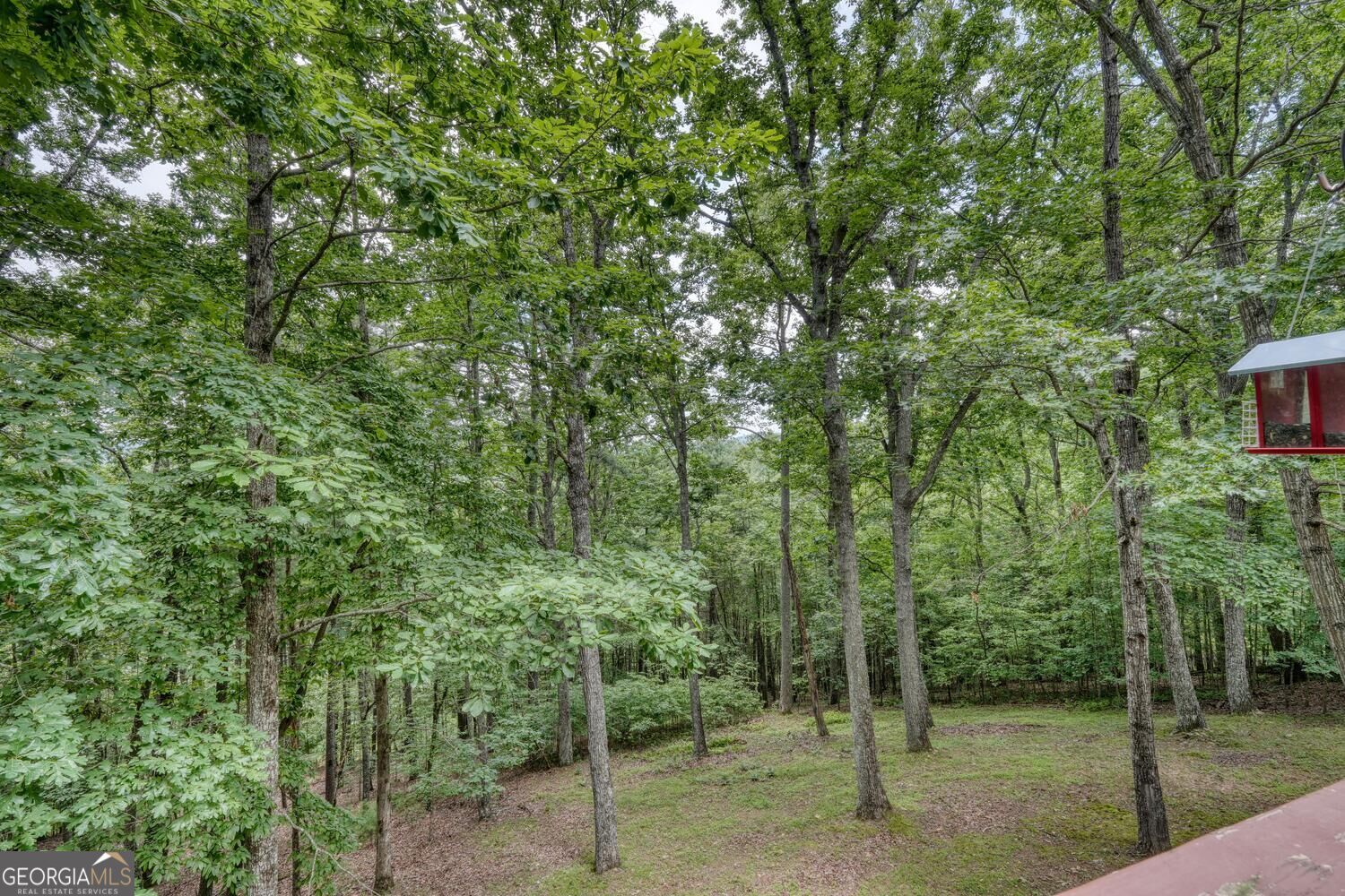 171 Mountain Top Road # 42 Property Photo 50