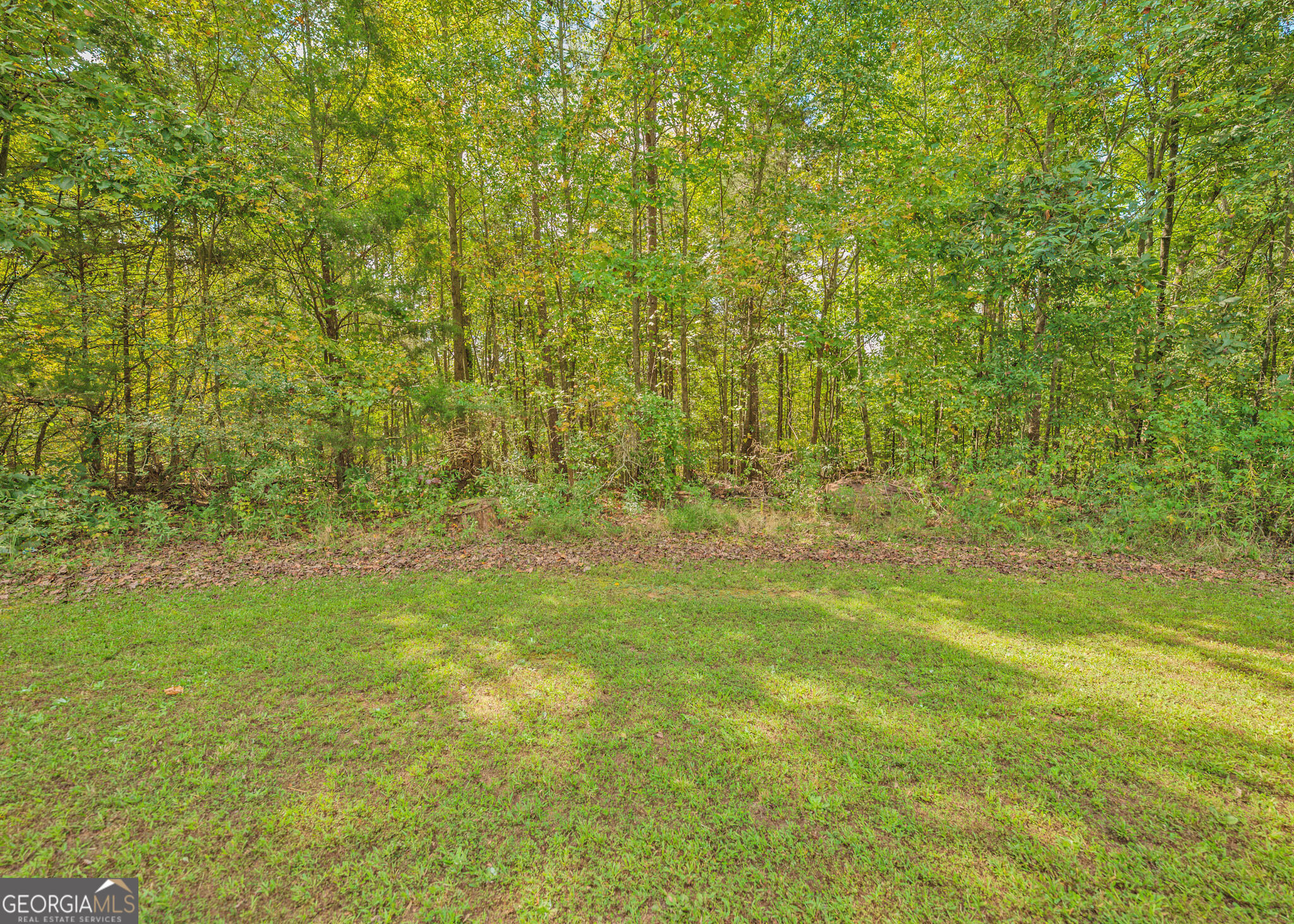 594 Neal Road Property Photo 8