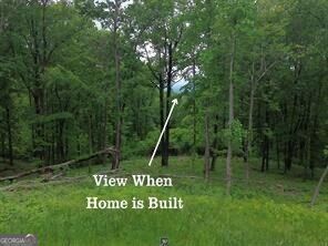 39 High Summit Drive Property Photo 9