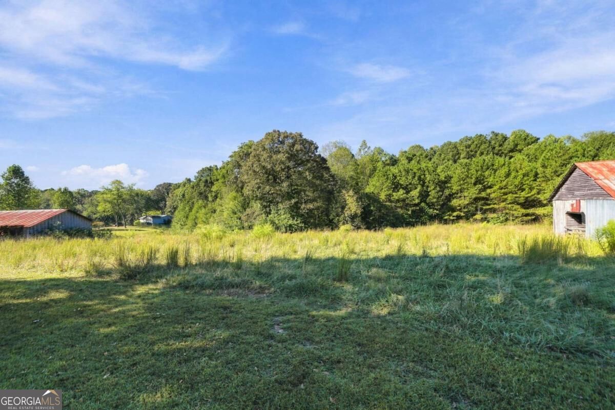 238 Henry Turner Trail Property Photo 30