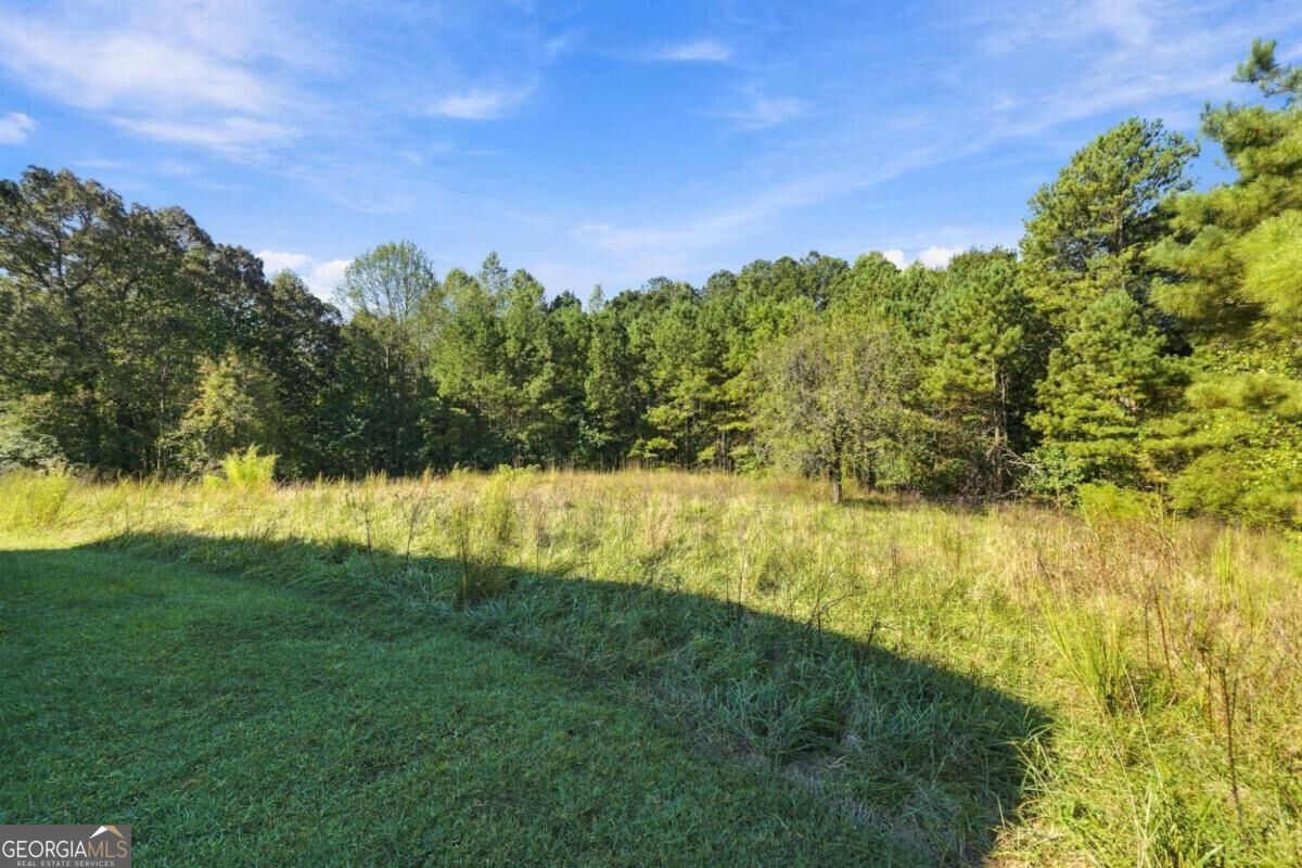 238 Henry Turner Trail Property Photo 46