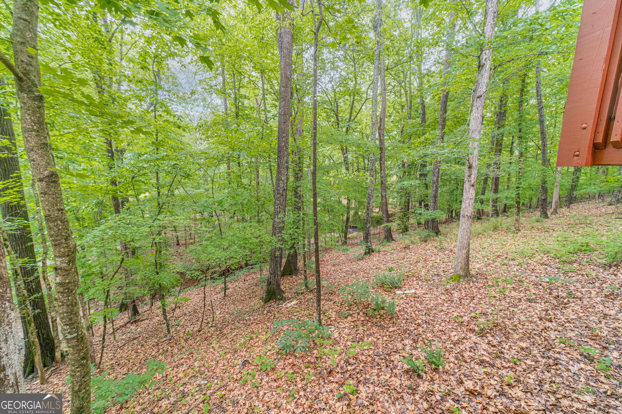 955 Clarion Way Property Photo 56