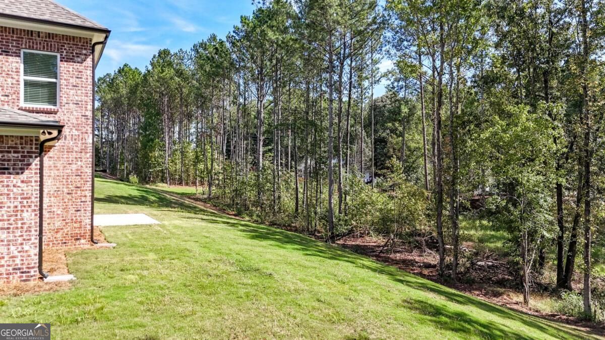 113 Southview Drive Property Photo 49