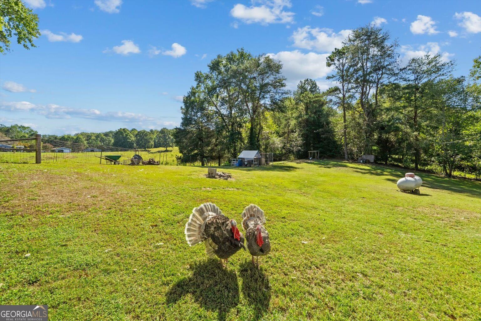 1117 Boss Road Property Photo 29
