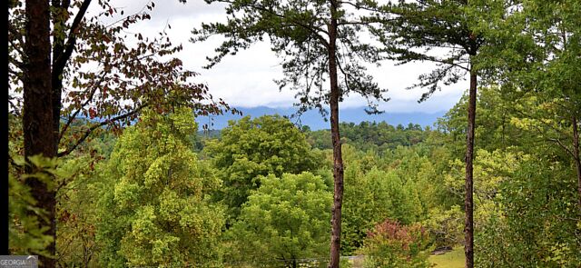 1035 Ritchie Creek Road Property Photo 37