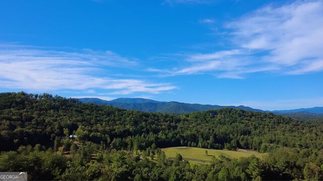 1035 Ritchie Creek Road Property Photo 38