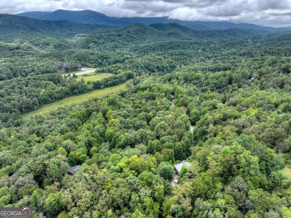 428 Tall Timber Mountain Road # 3 Property Photo 12