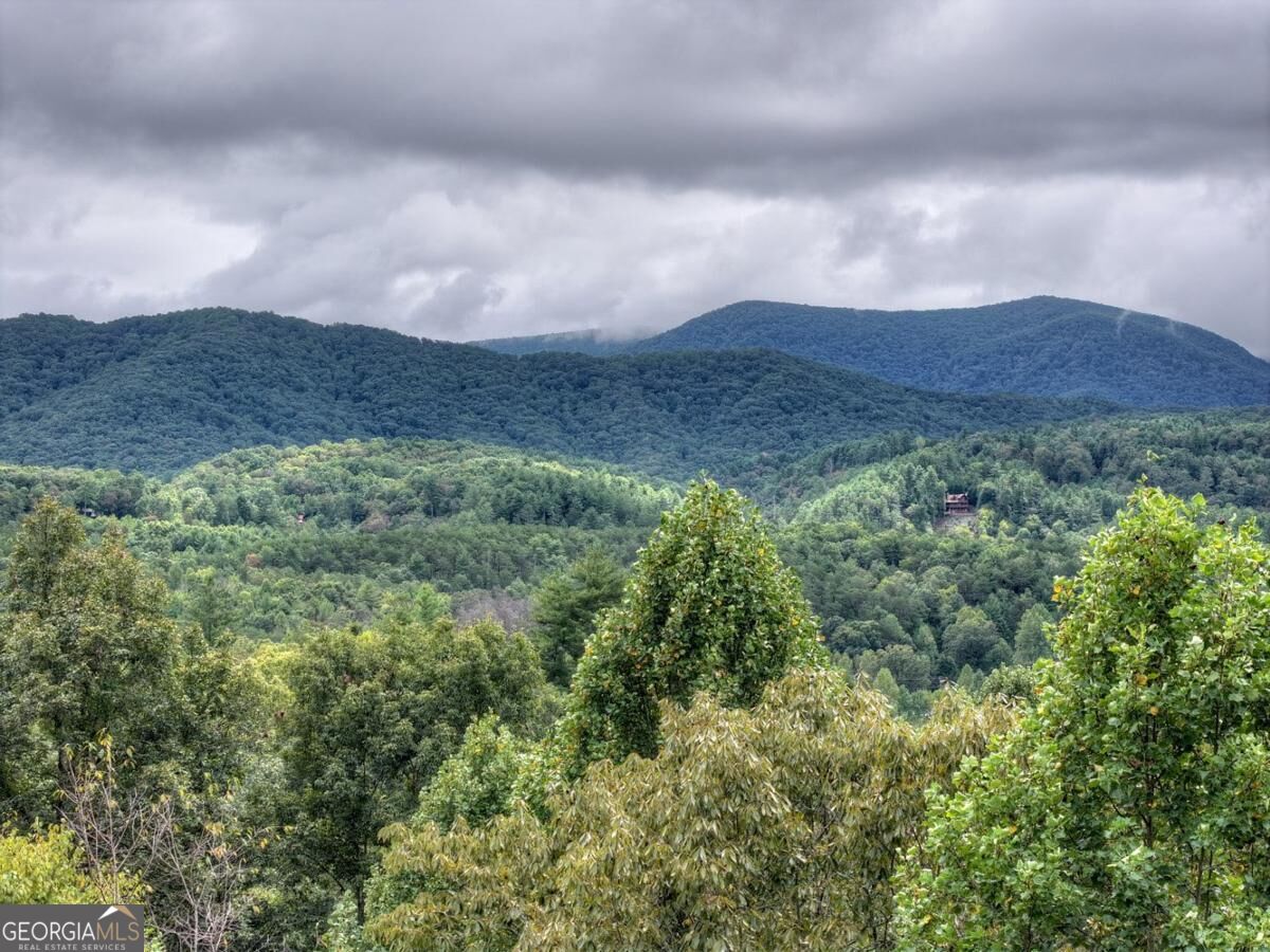428 Tall Timber Mountain Road # 3 Property Photo 30