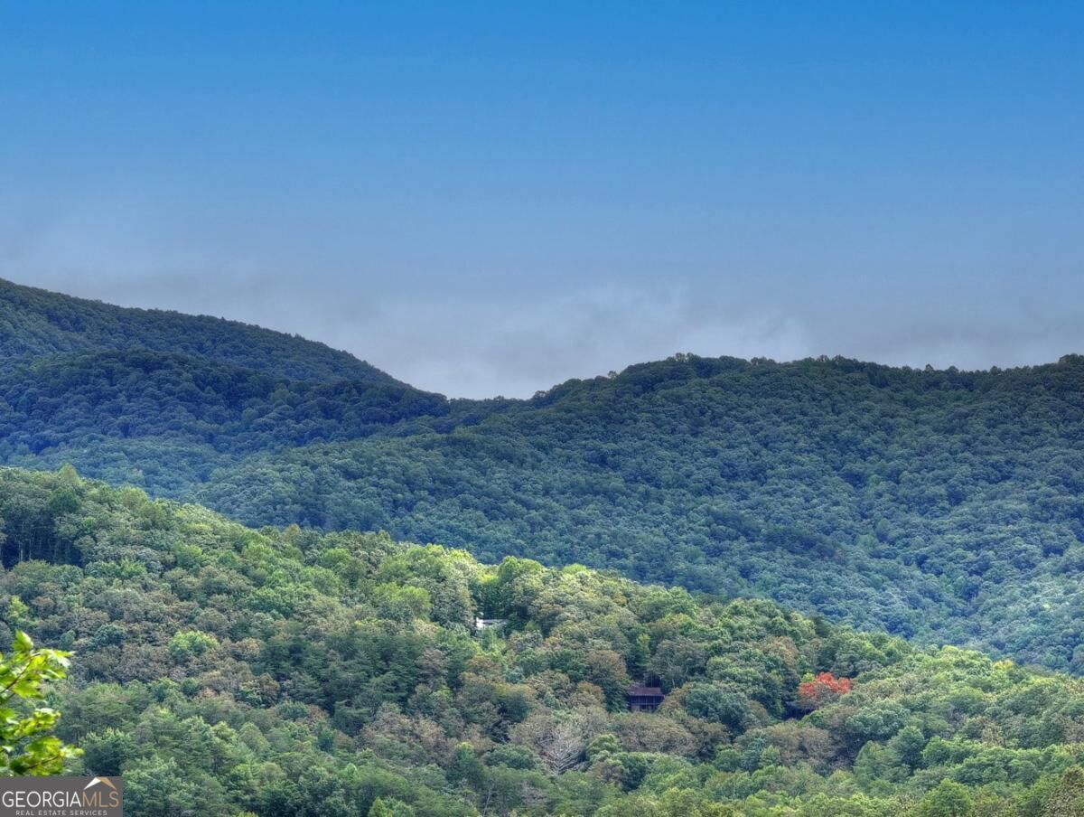 428 Tall Timber Mountain Road # 3 Property Photo 41