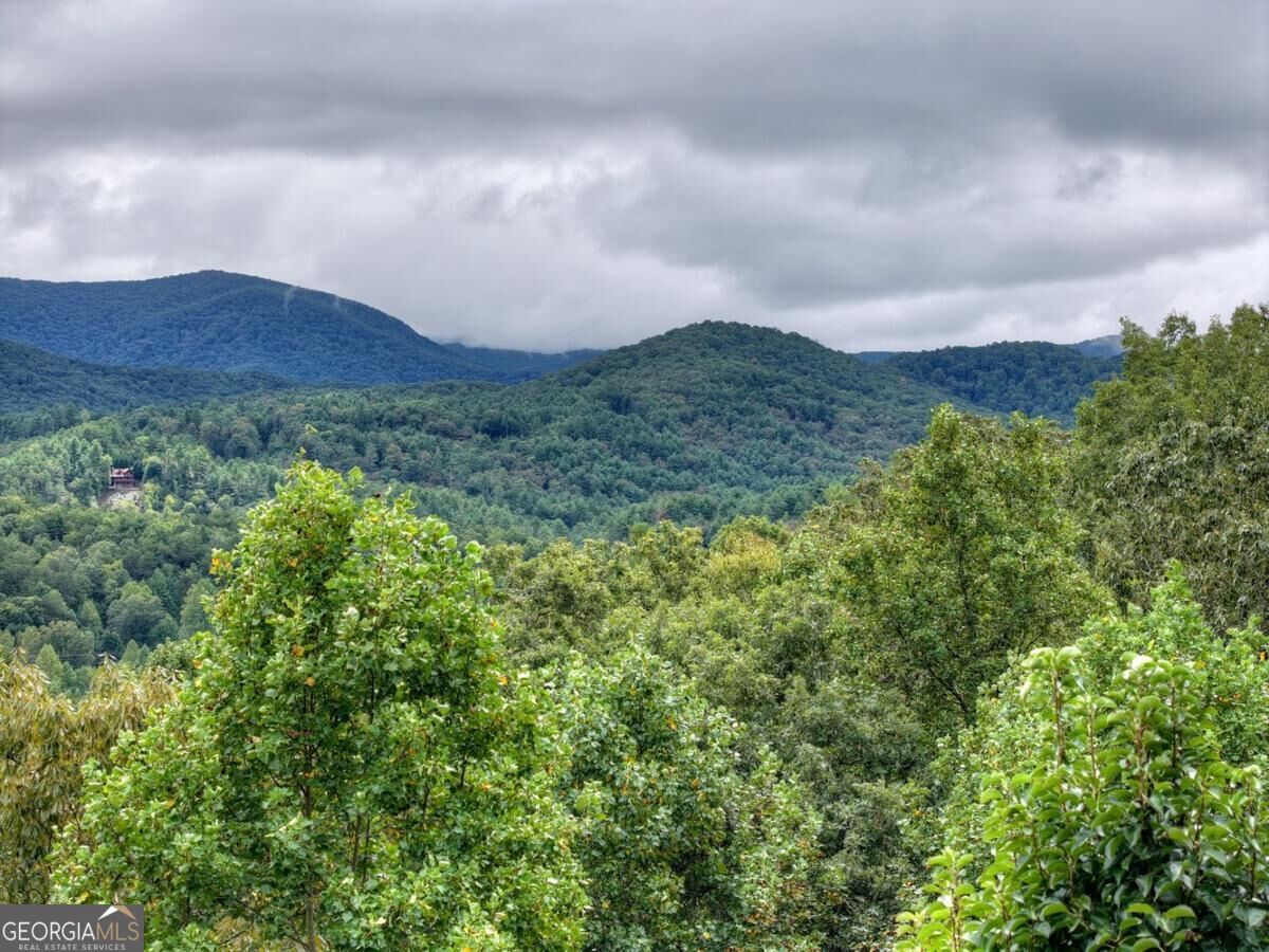 428 Tall Timber Mountain Road # 3 Property Photo 52