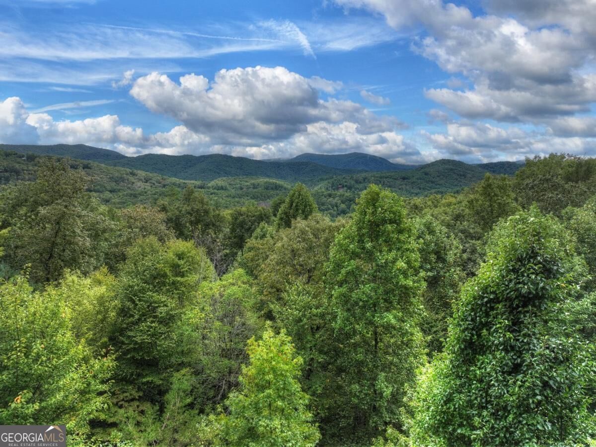 428 Tall Timber Mountain Road # 3 Property Photo 55