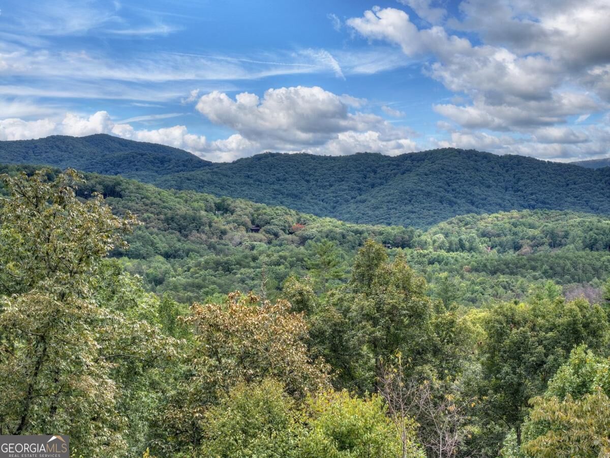 428 Tall Timber Mountain Road # 3 Property Photo 64