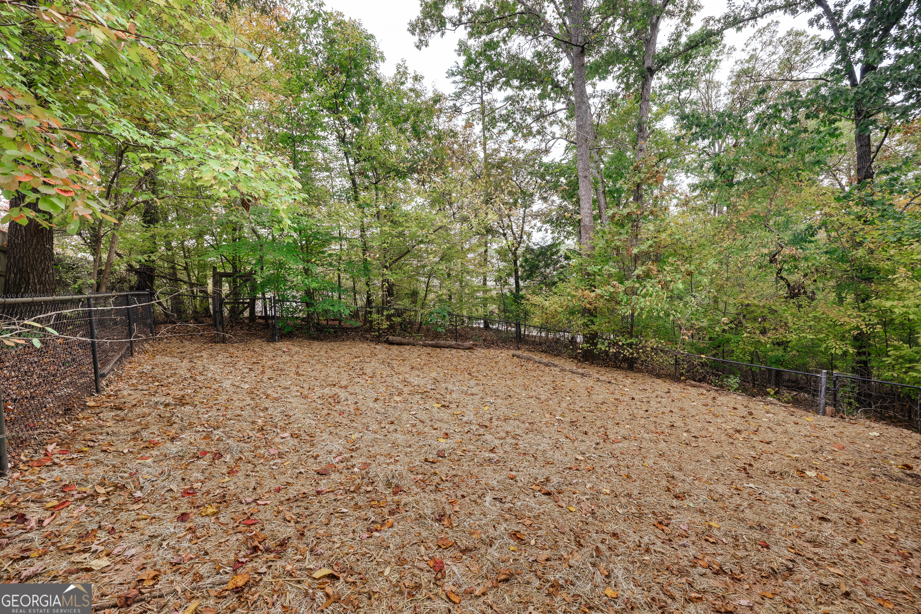 555 Snapfinger Drive Property Photo 42