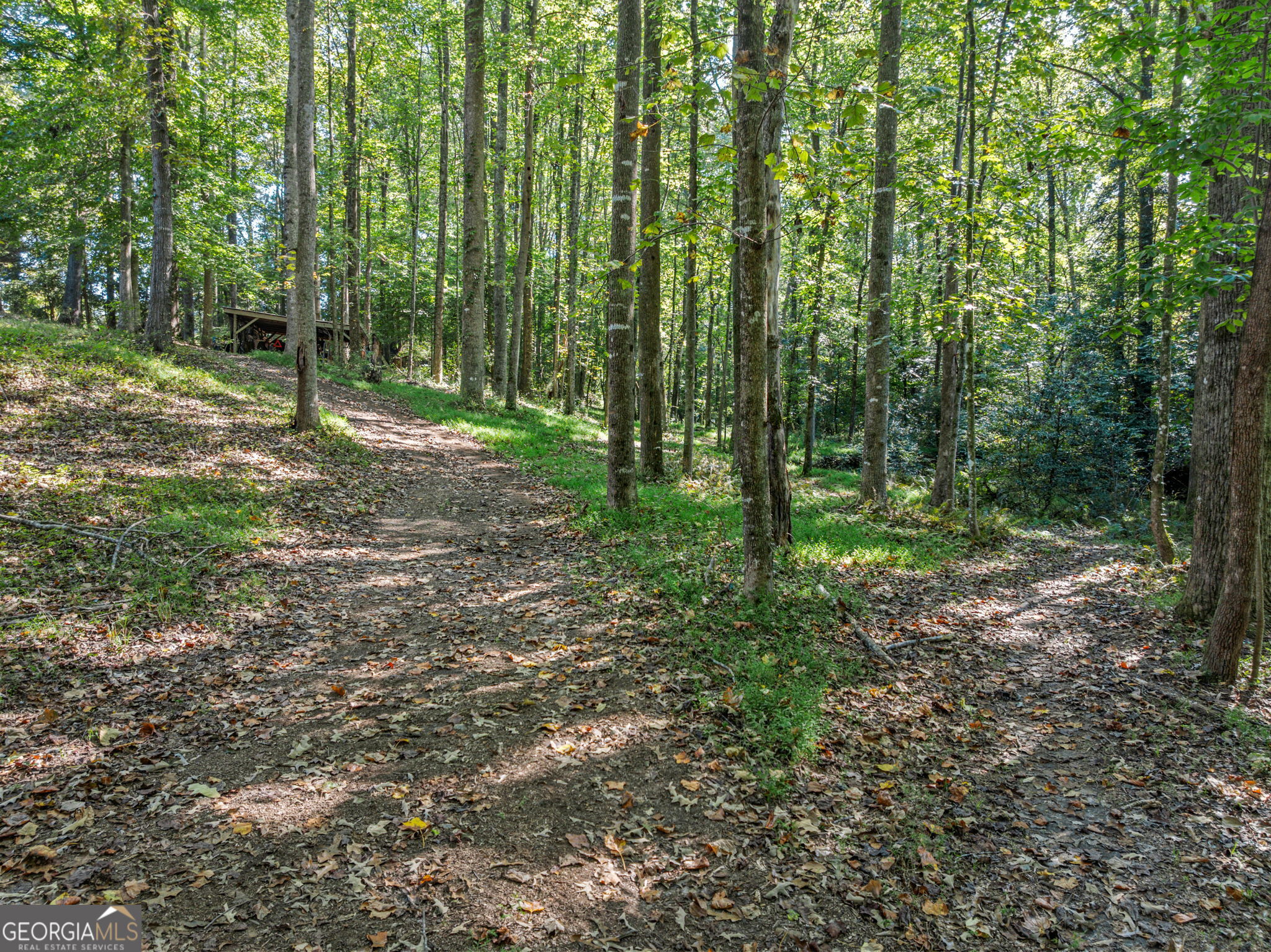 296 Highway 115 Property Photo 54