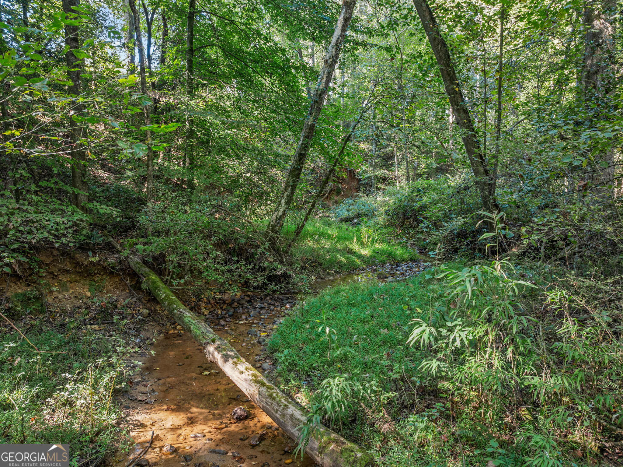 296 Highway 115 Property Photo 56