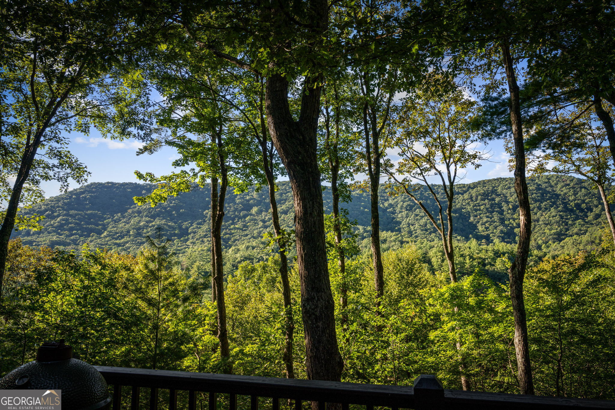 241 Wilderness Way Property Photo 2