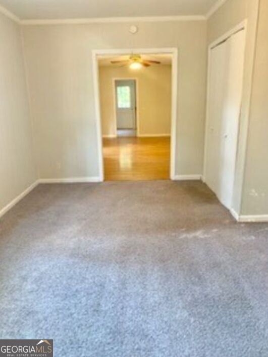 13 Tuxedo Avenue Property Photo 8
