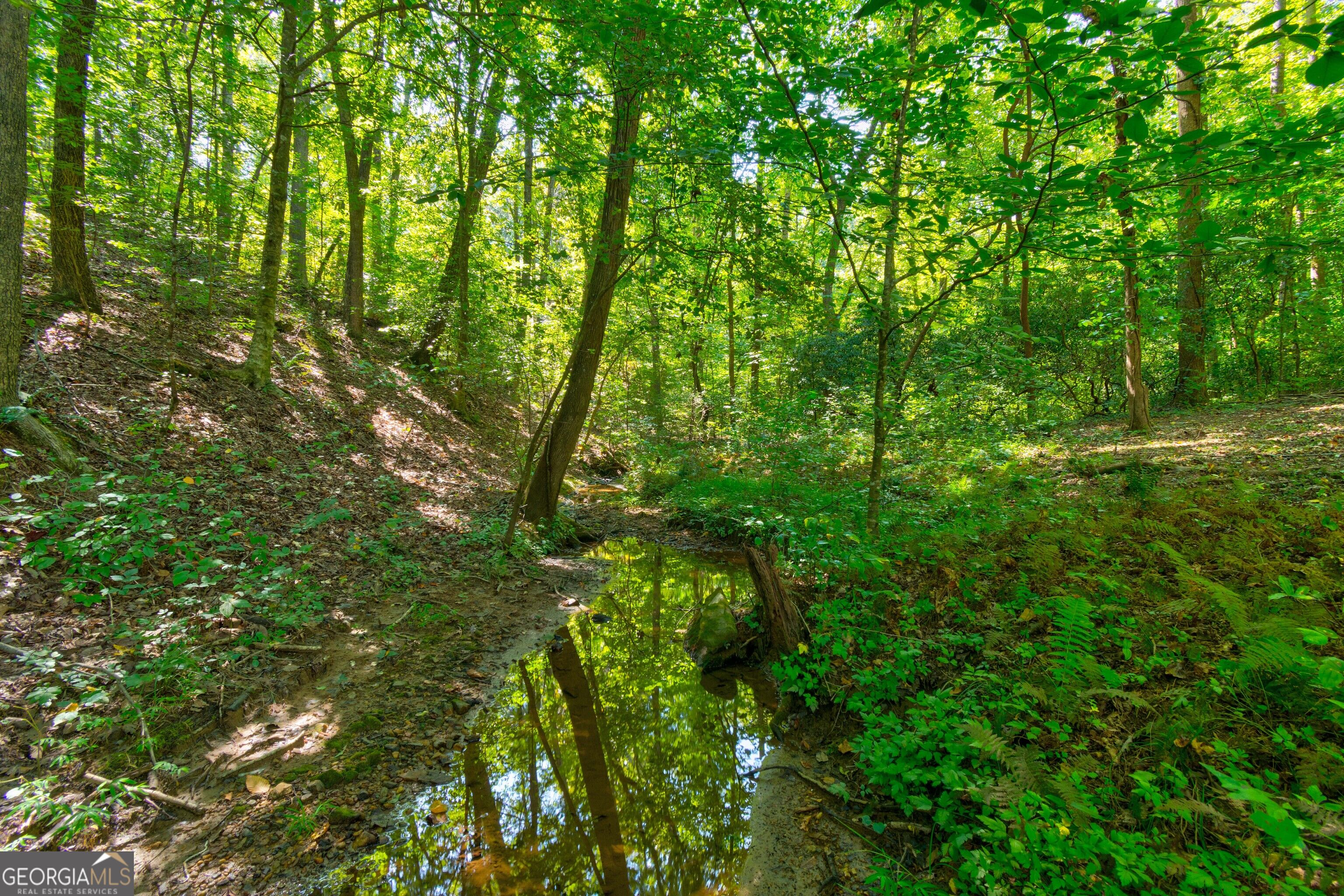 434 Mill Creek Drive Property Photo 60